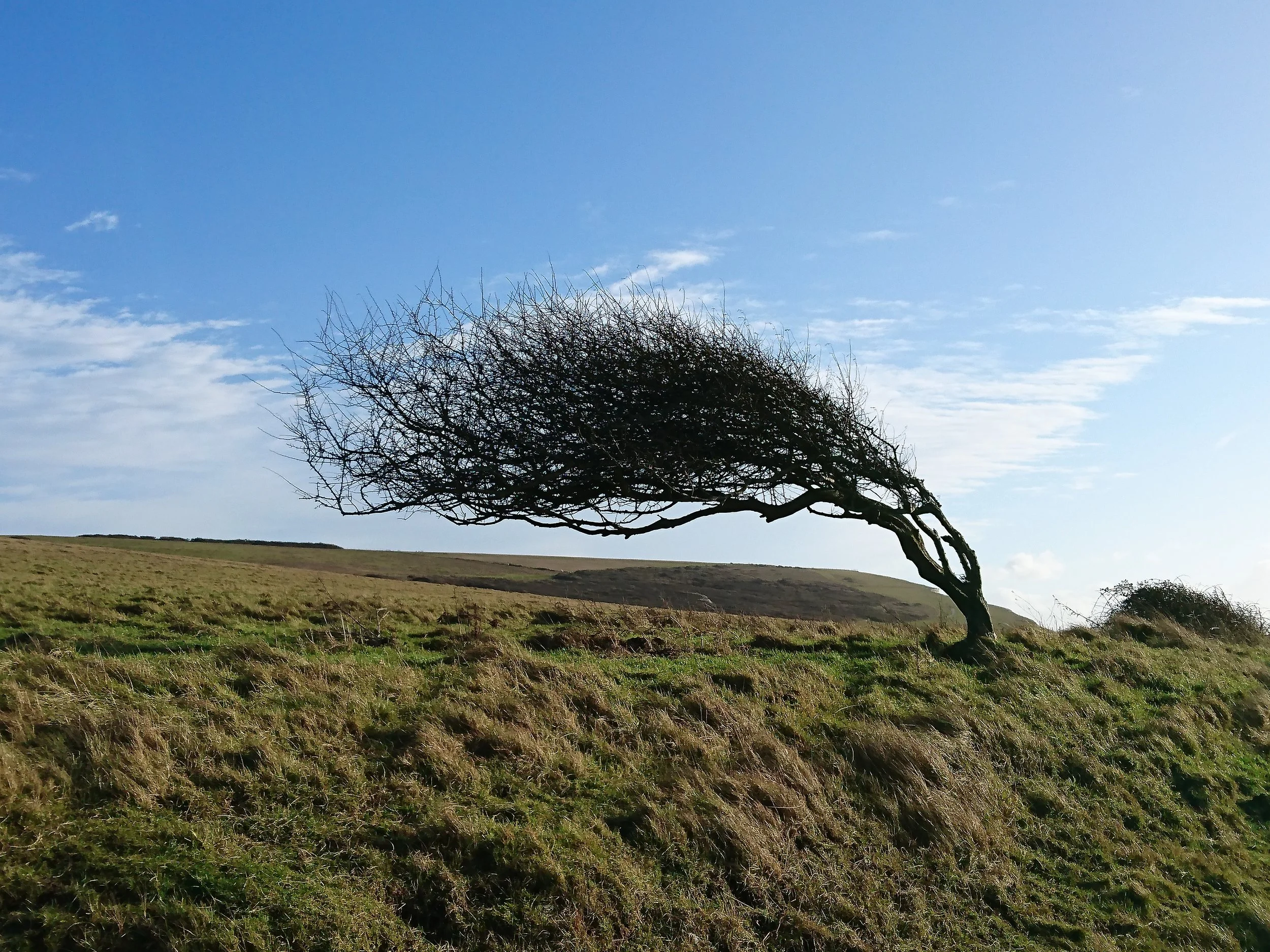 Day 016: Eastbourne to Exceat