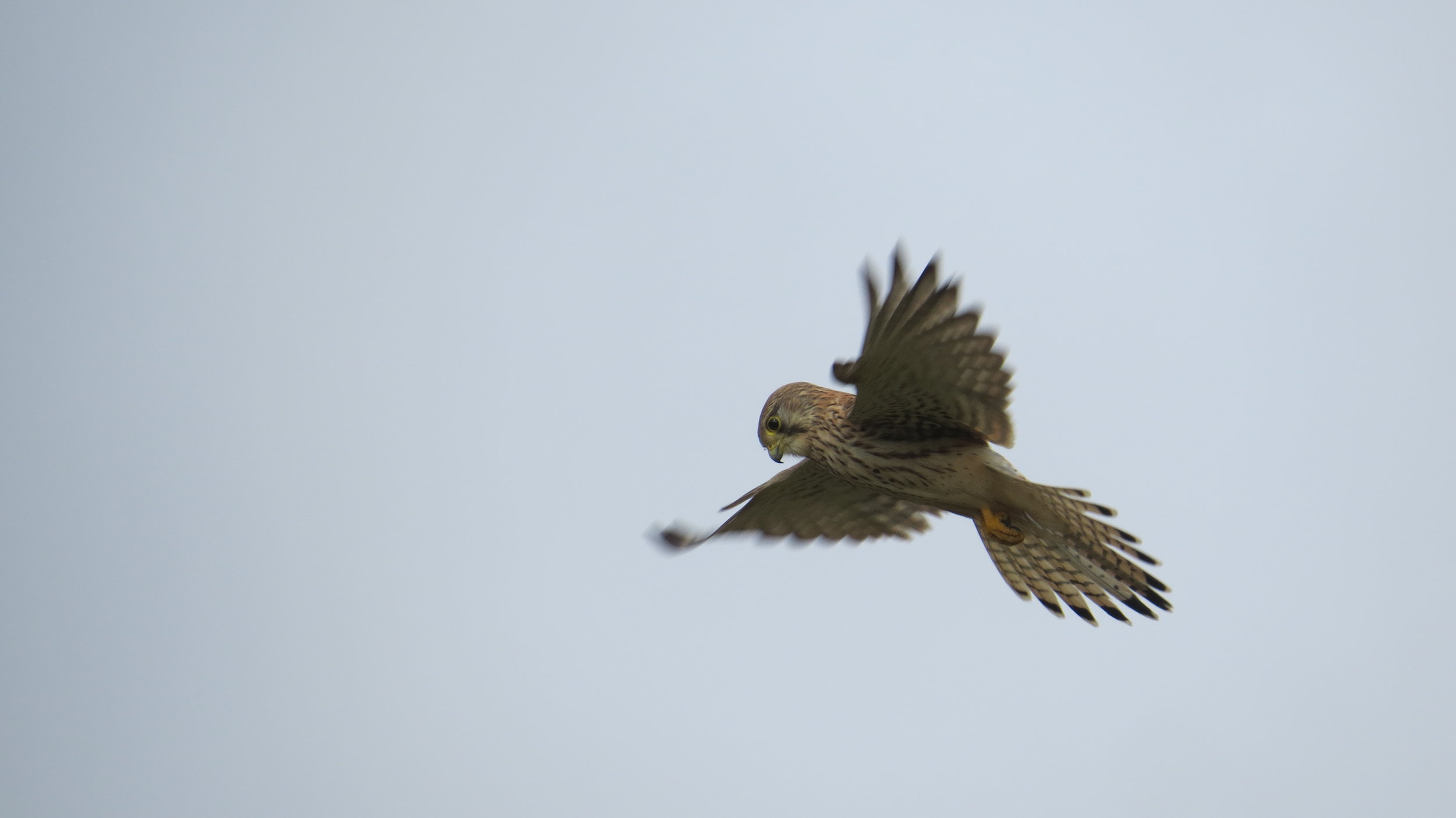 Day 027: Lymington to Bournemouth