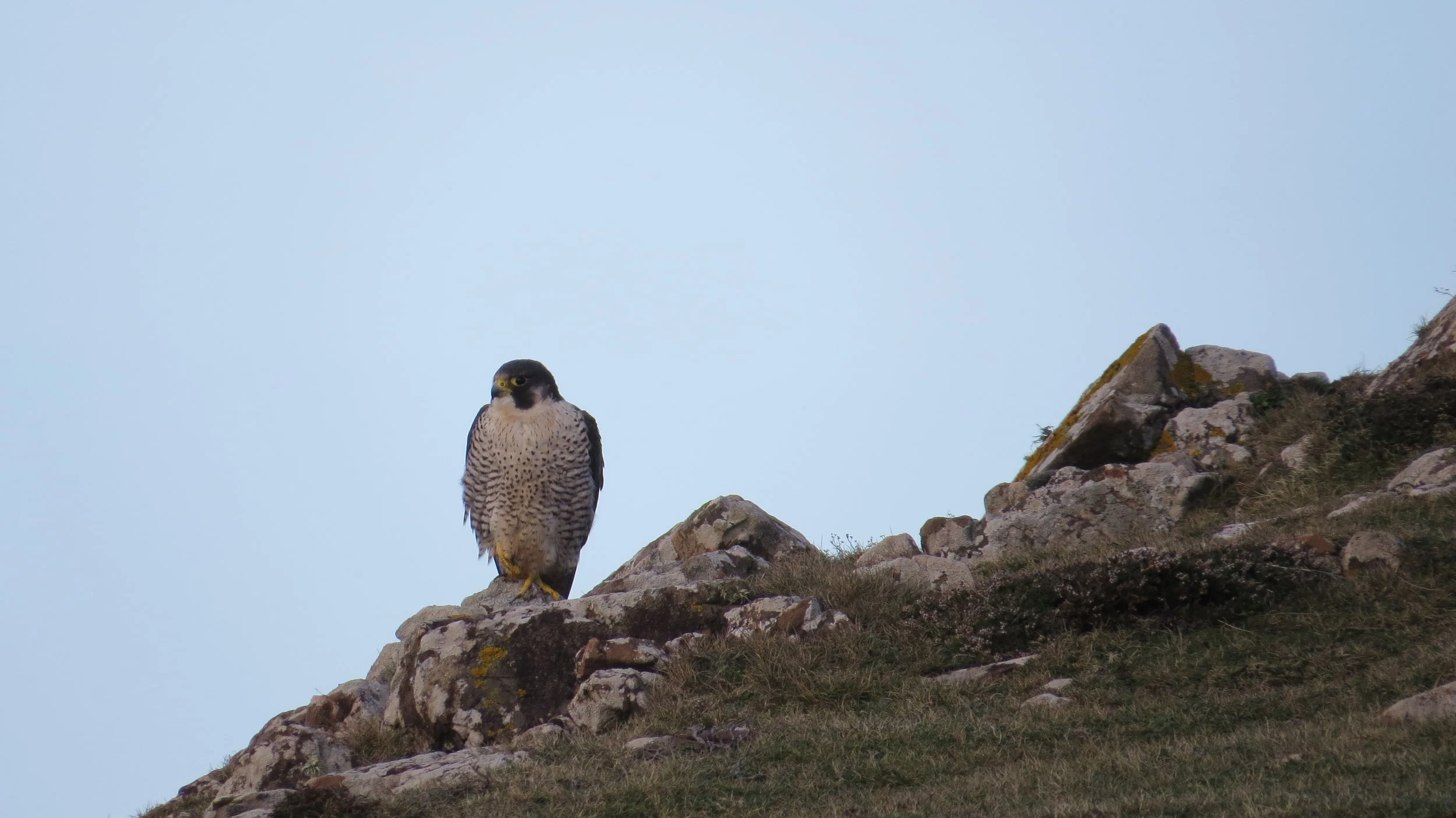 Day 051: Lizard to Prussia Cove