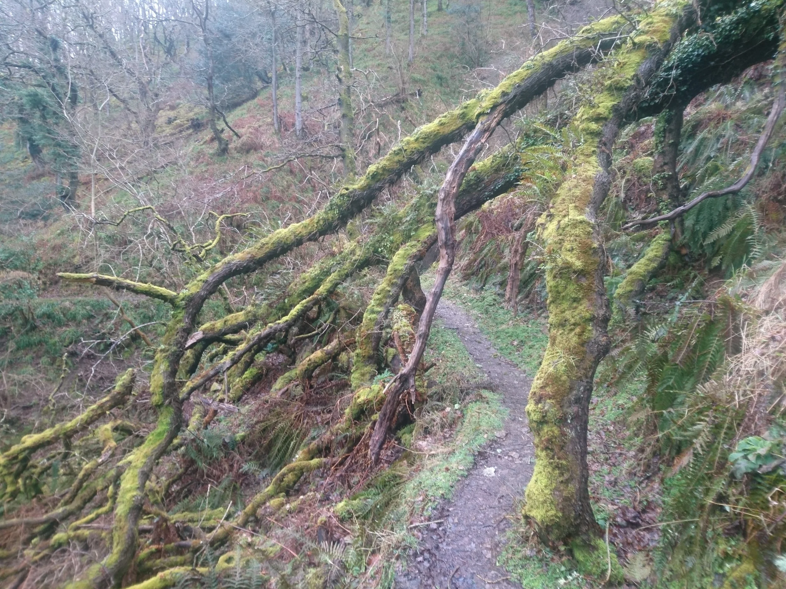 Day 068: Countisbury to Minehead