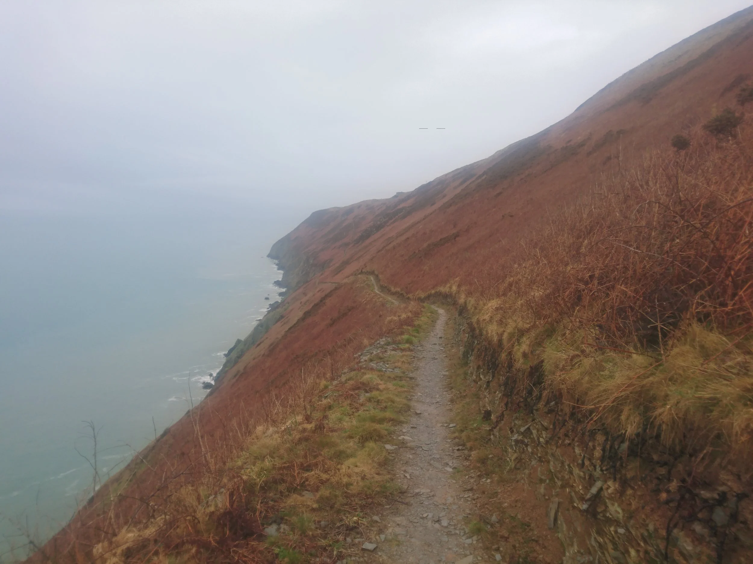 Day 096: Foel-y-Mwnt to New Quay