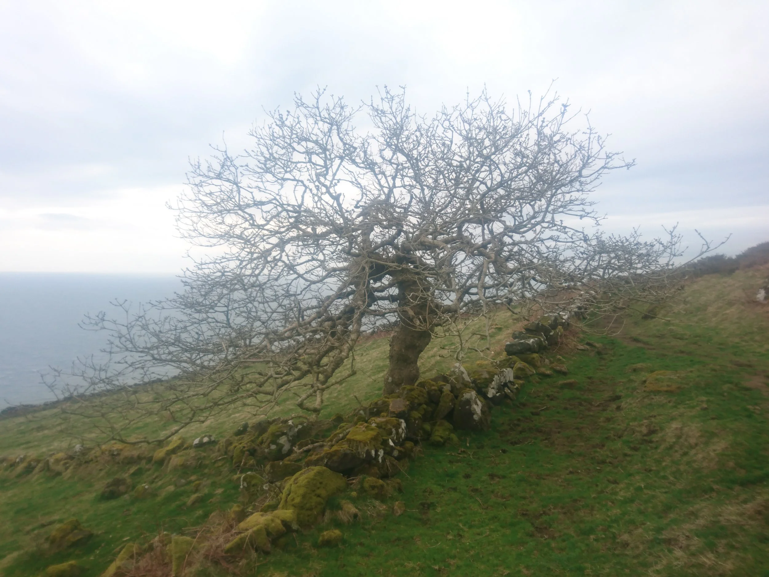 Day 104: Hell's Mouth to Aberdaron