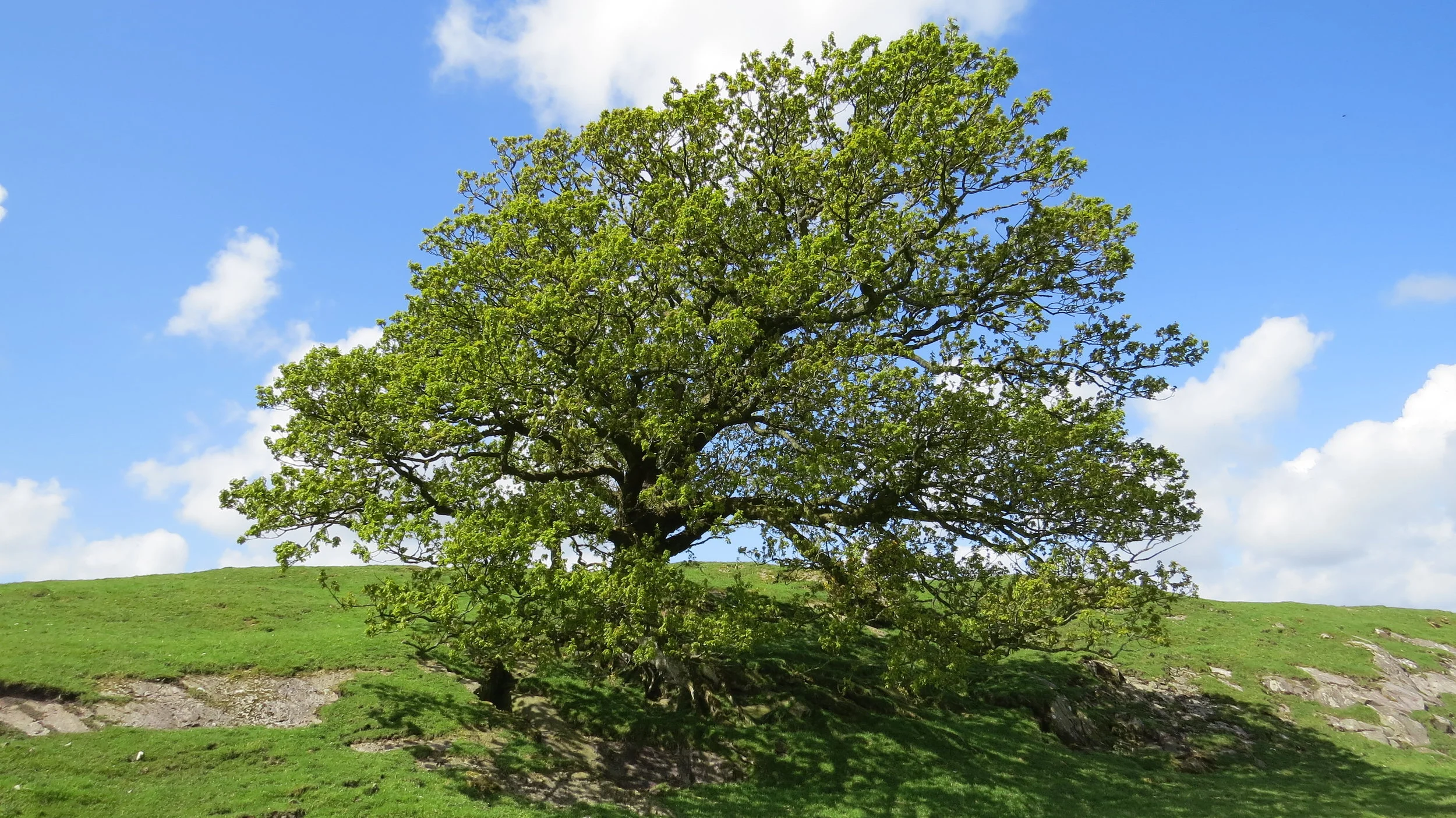Day 129: Arnside to Cark