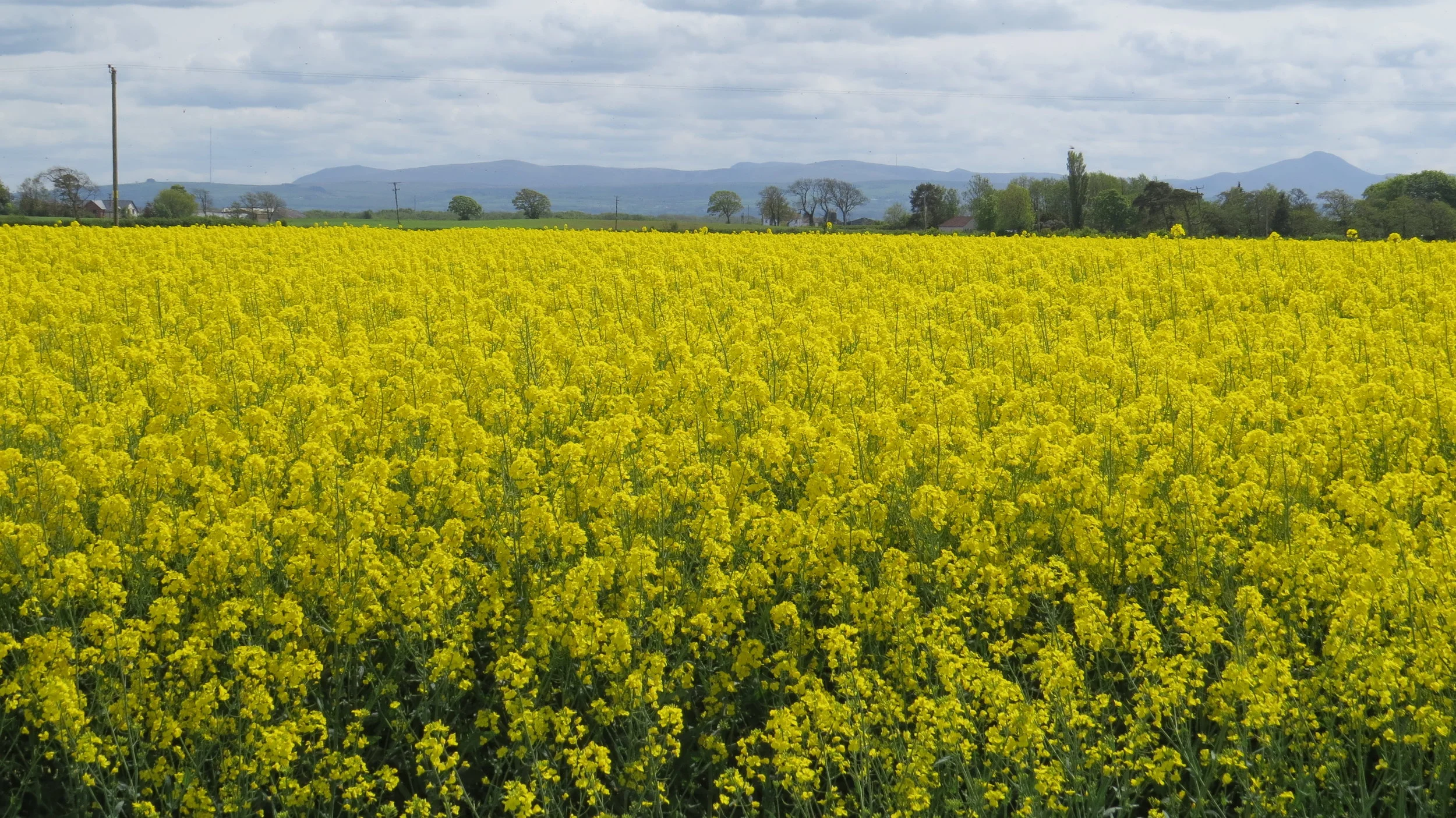 Day 136: Silloth to Bowness-on-Solway