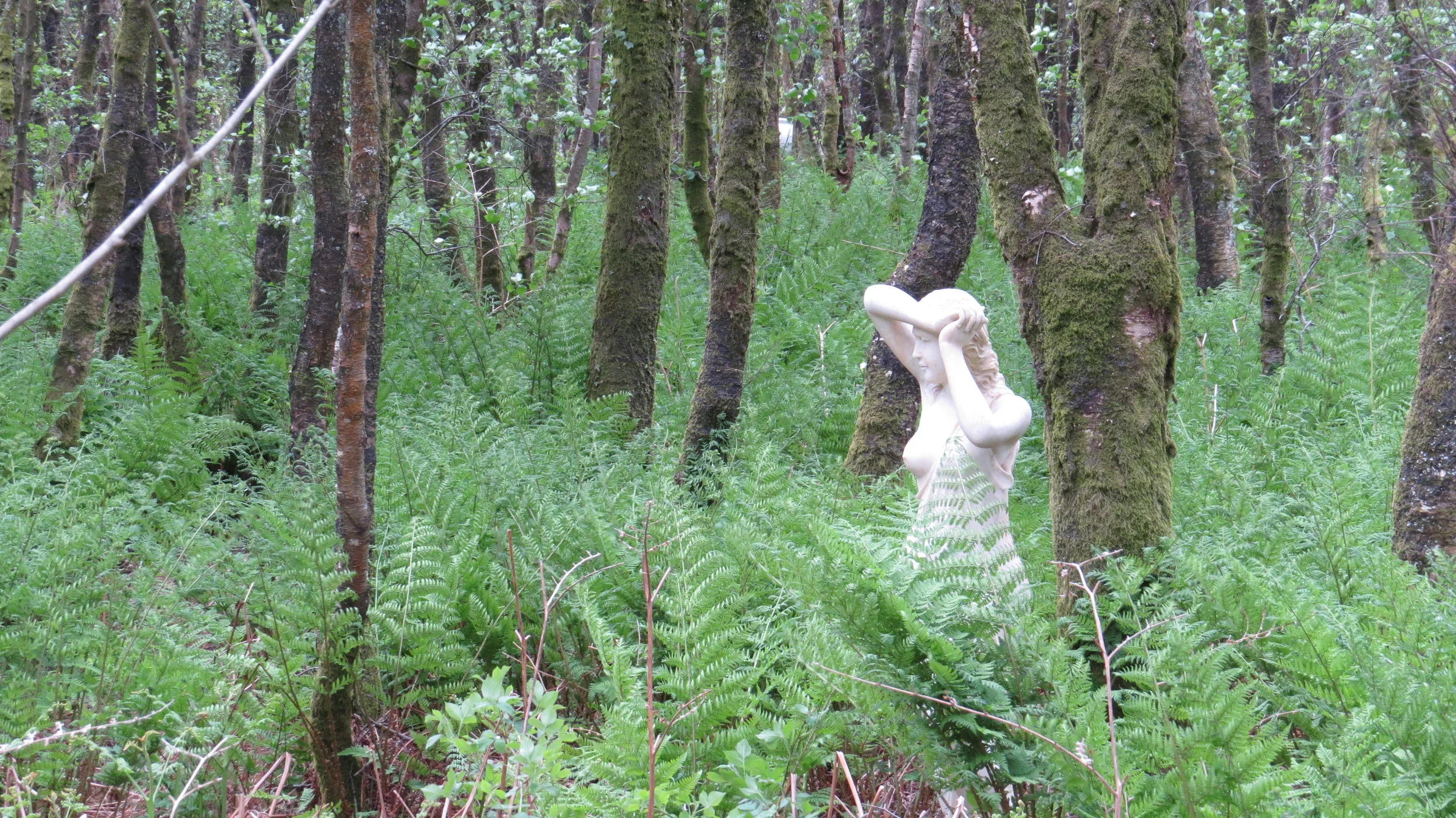 Day 144: Carsluith to Kirkinner