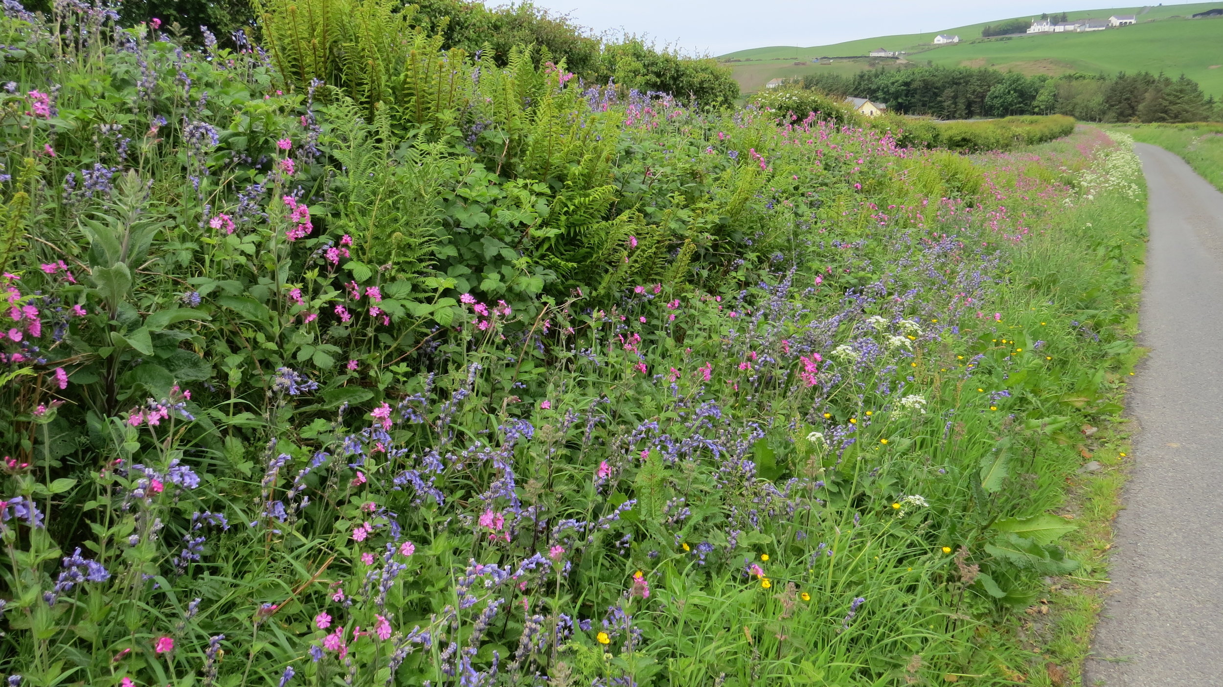 Day 149: Port Logan to Port Kale