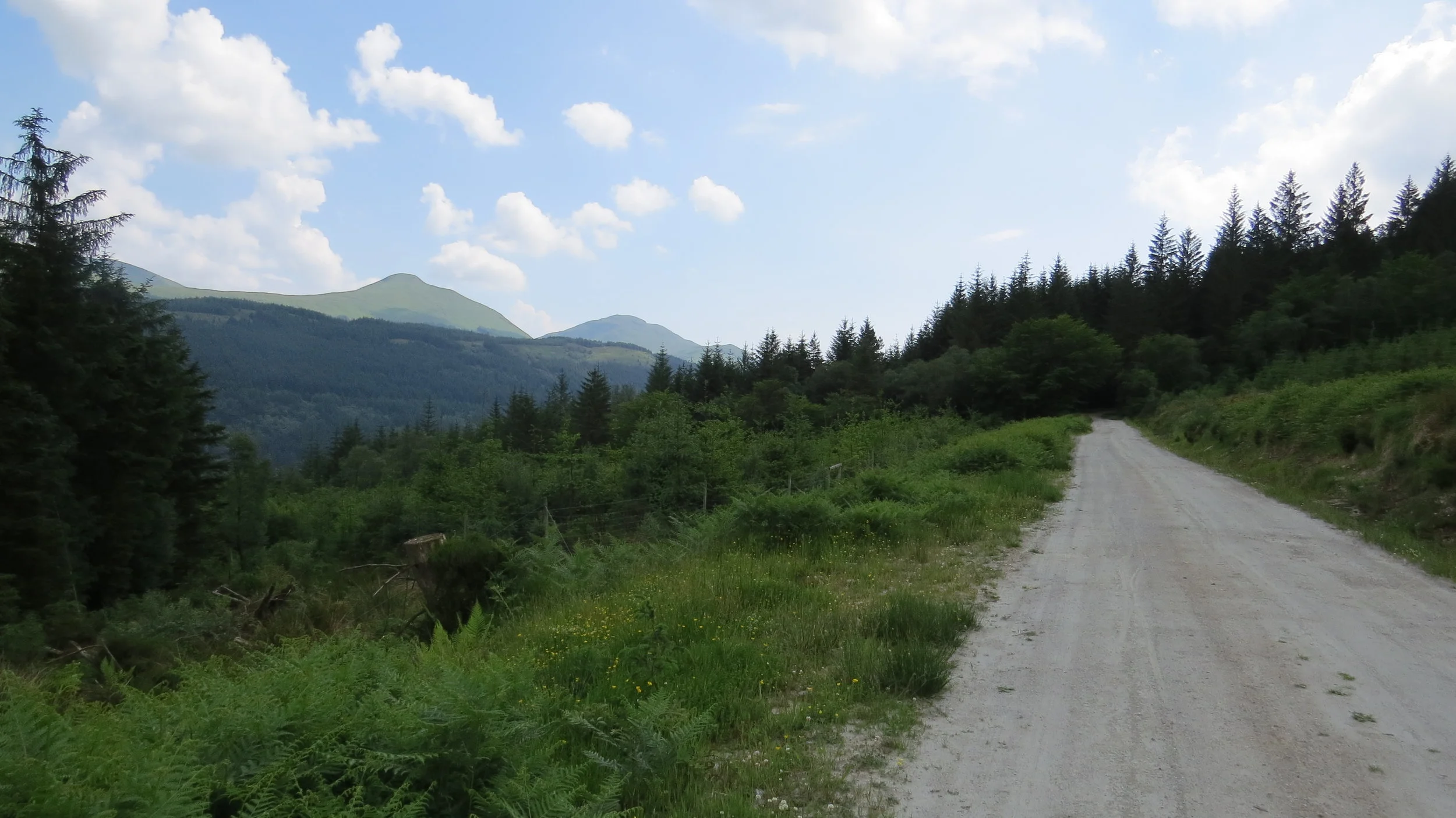 Day 159: Cove to Mark Bothy