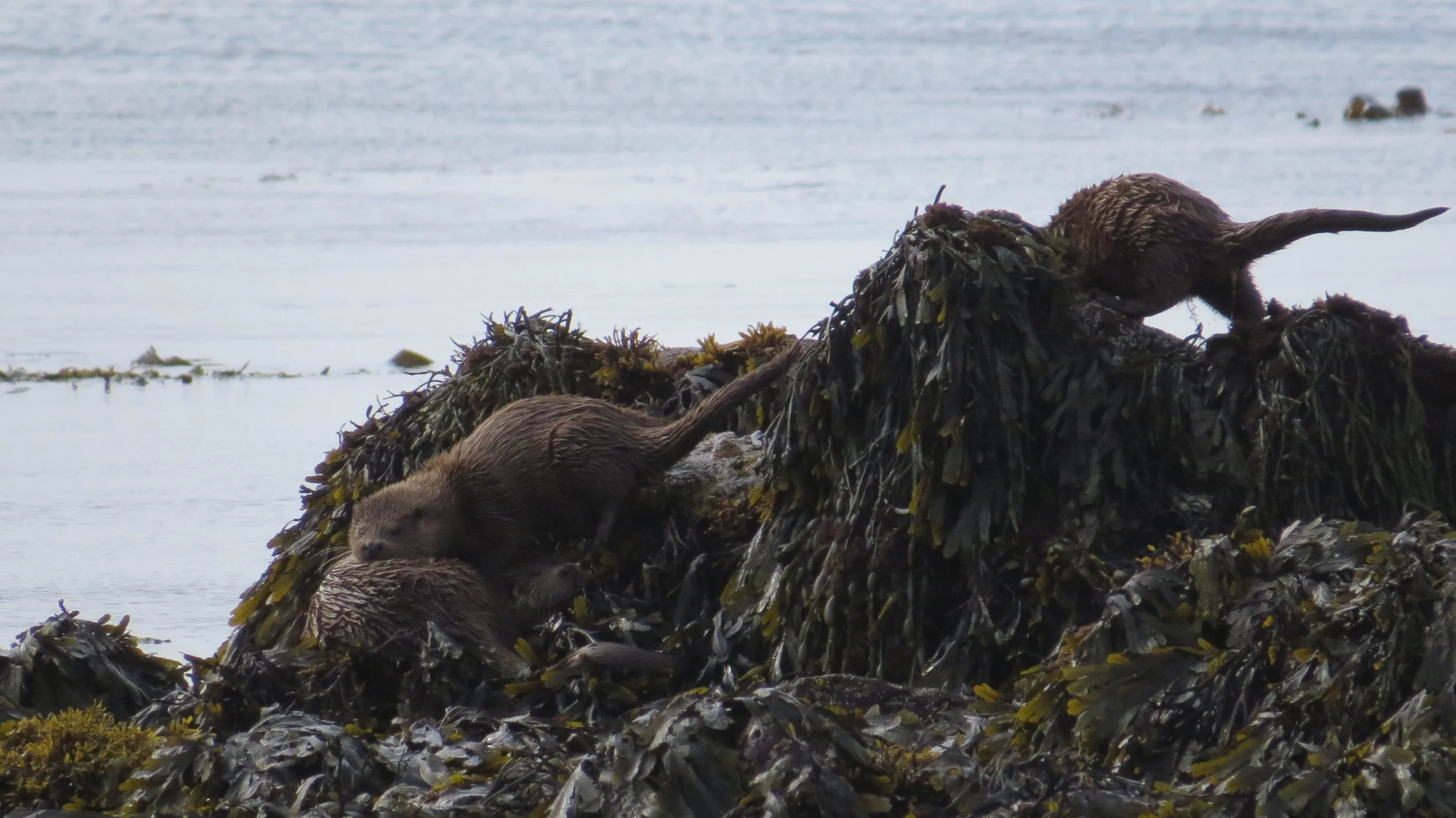 WB 23/24: Smiles in the Sunshine and Tears in the Rain ...