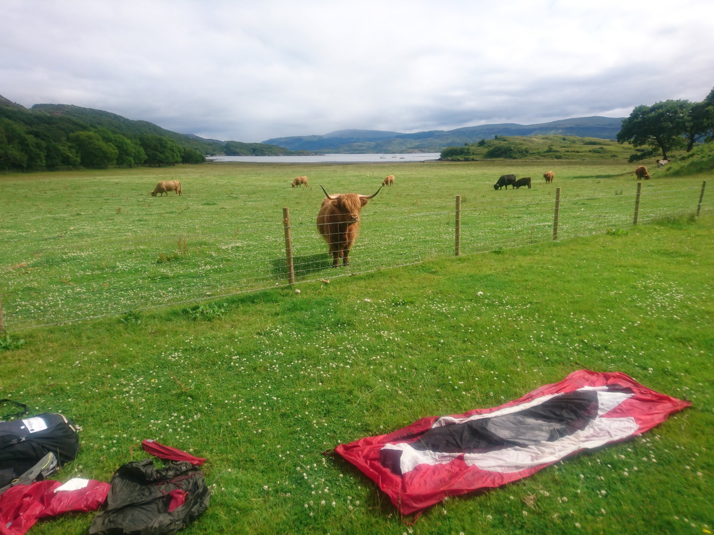 Day 192: Strontian to Glenmore
