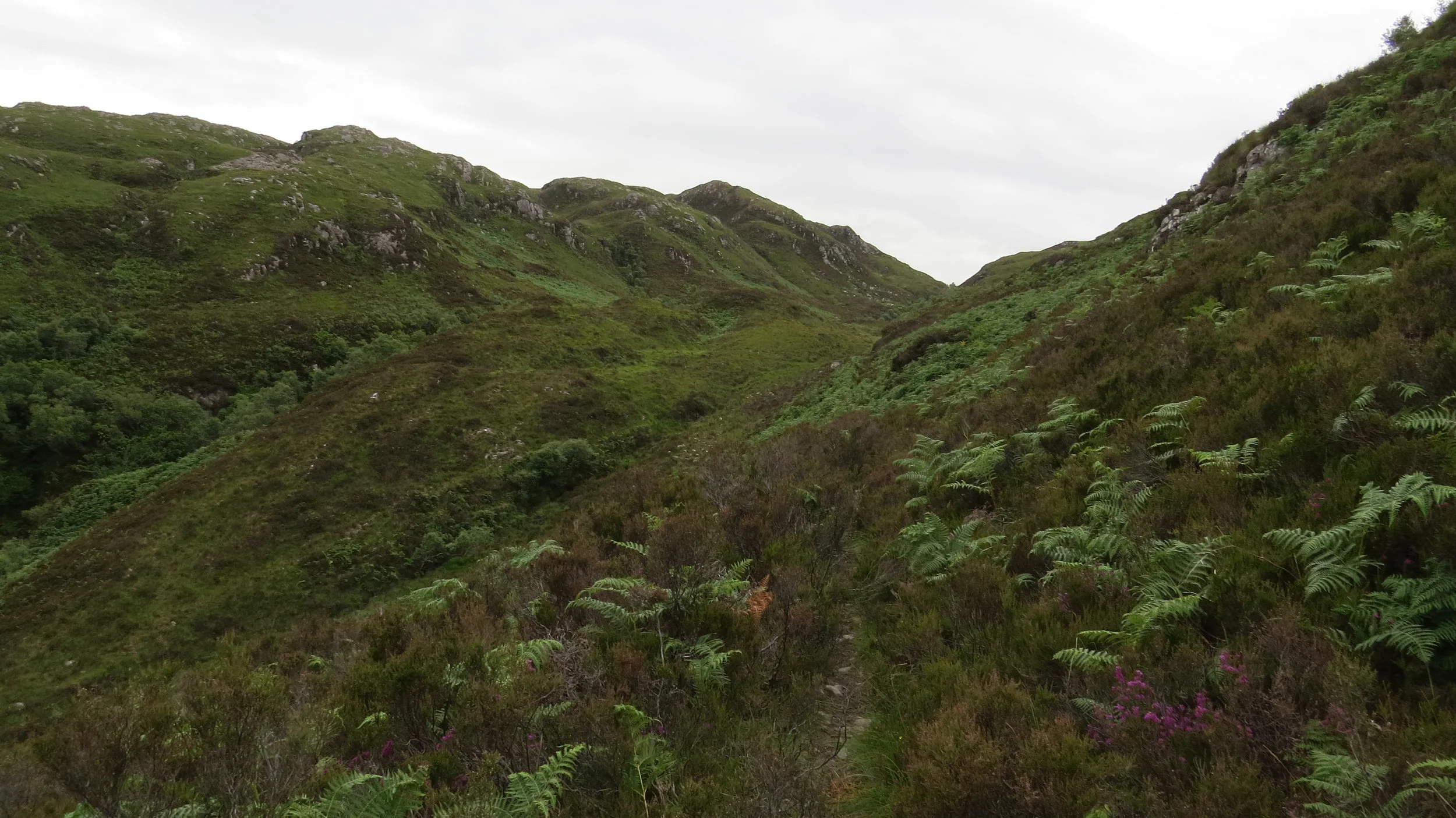 Day 194: Plocaig to Acharacle
