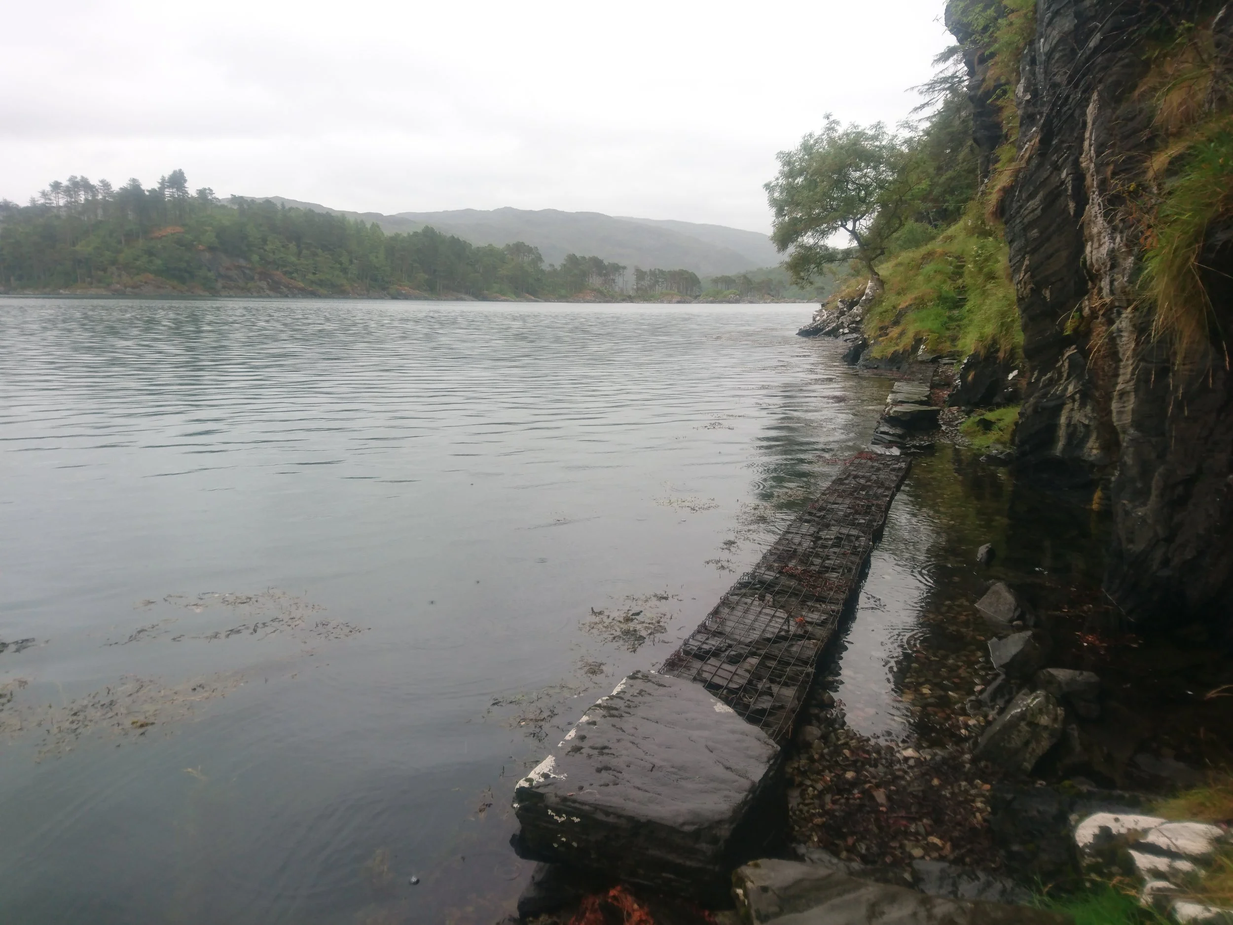 Day 195: Acharacle to Glenuig