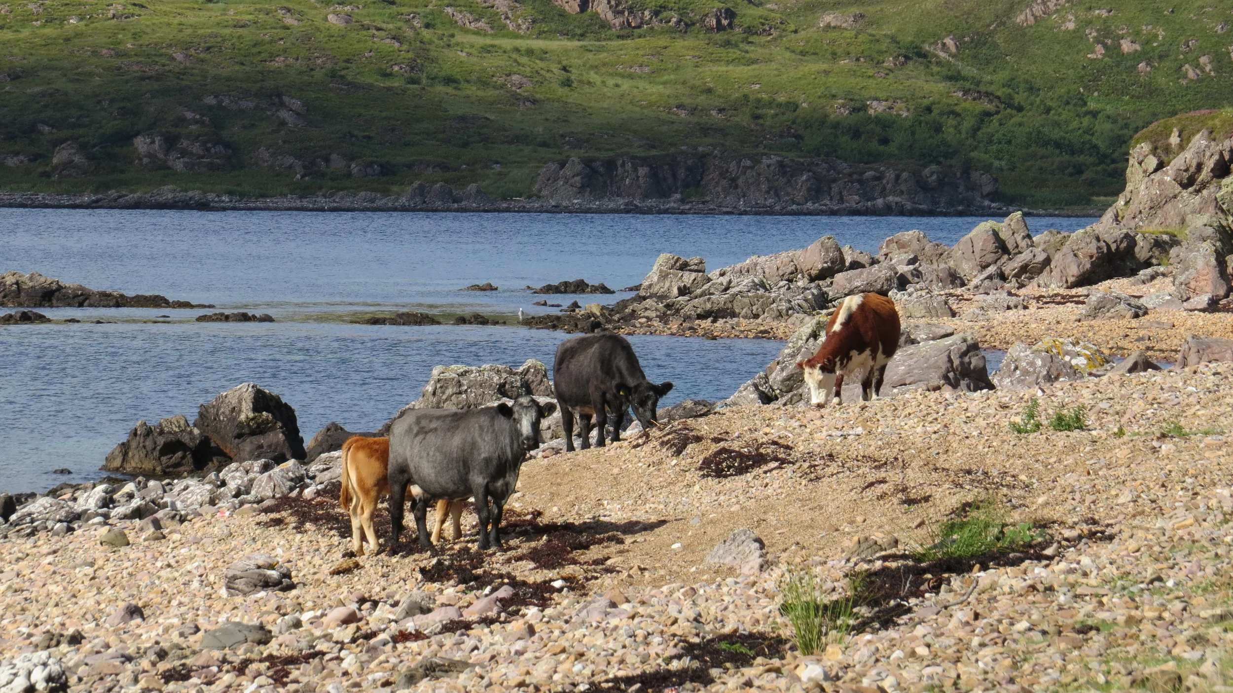 Day 206: Leiter Fura to Drumfearn