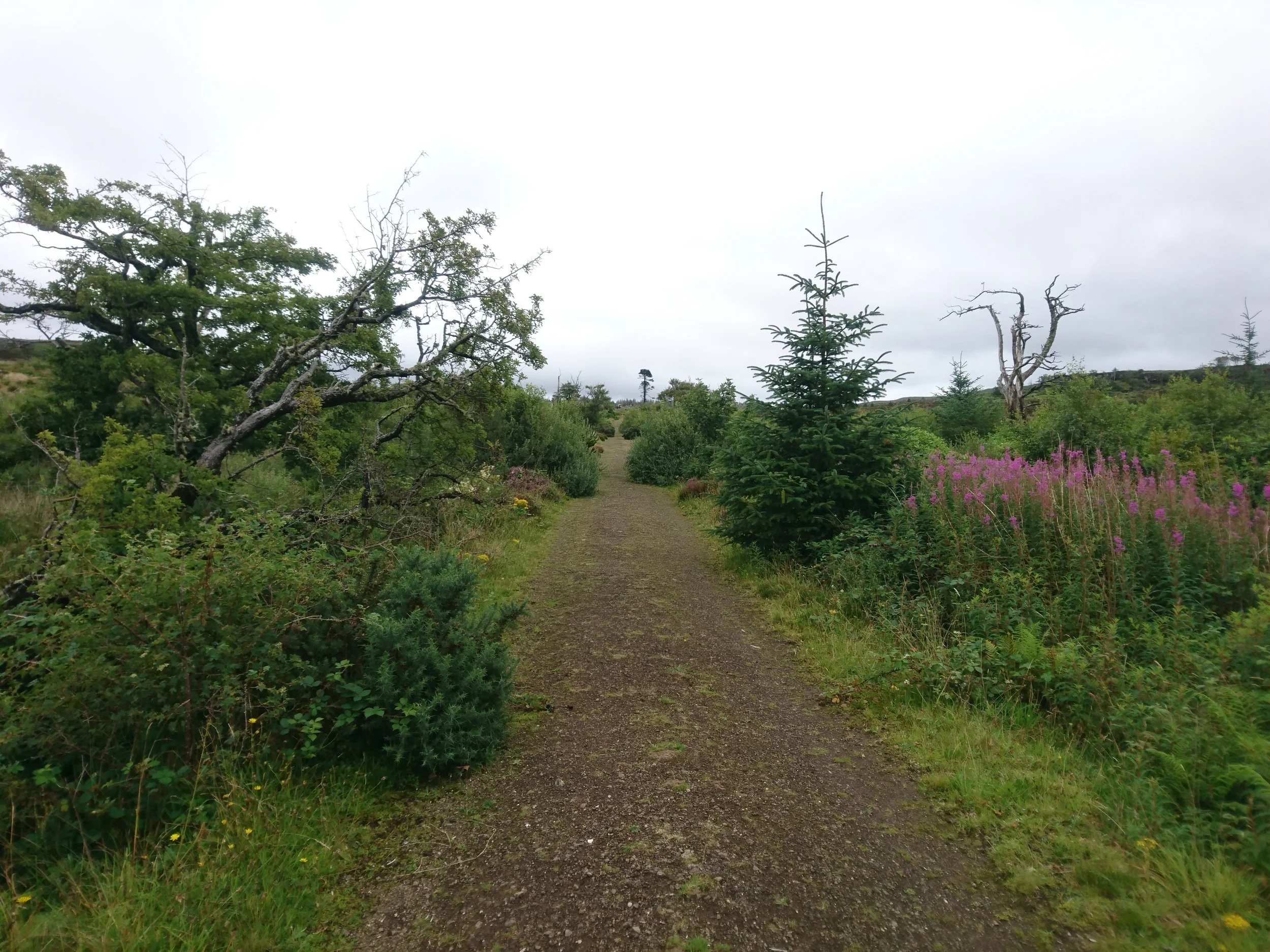 Day 214: Milovaig to Waternish