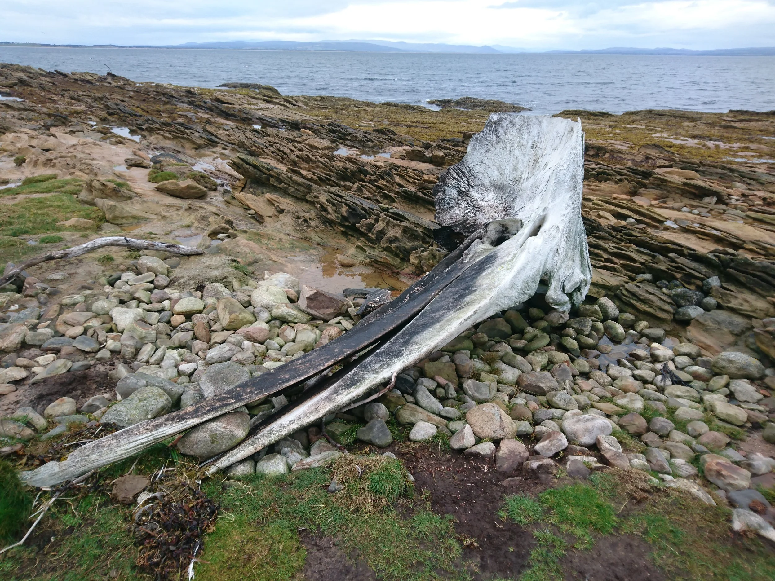 Day 252: Skelbo to Tarbat Ness