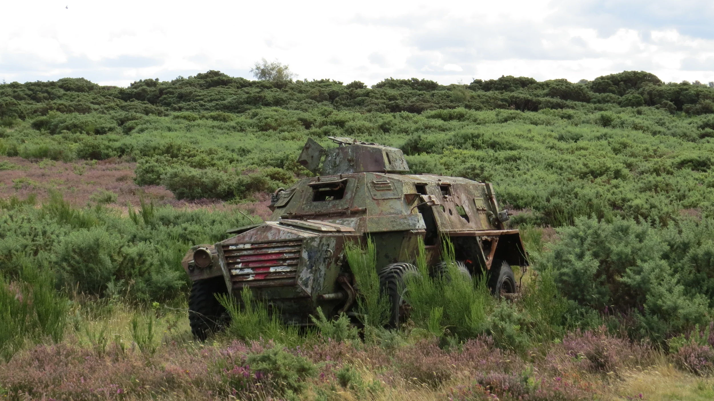 Day 257: Inverness to Culbin Forest