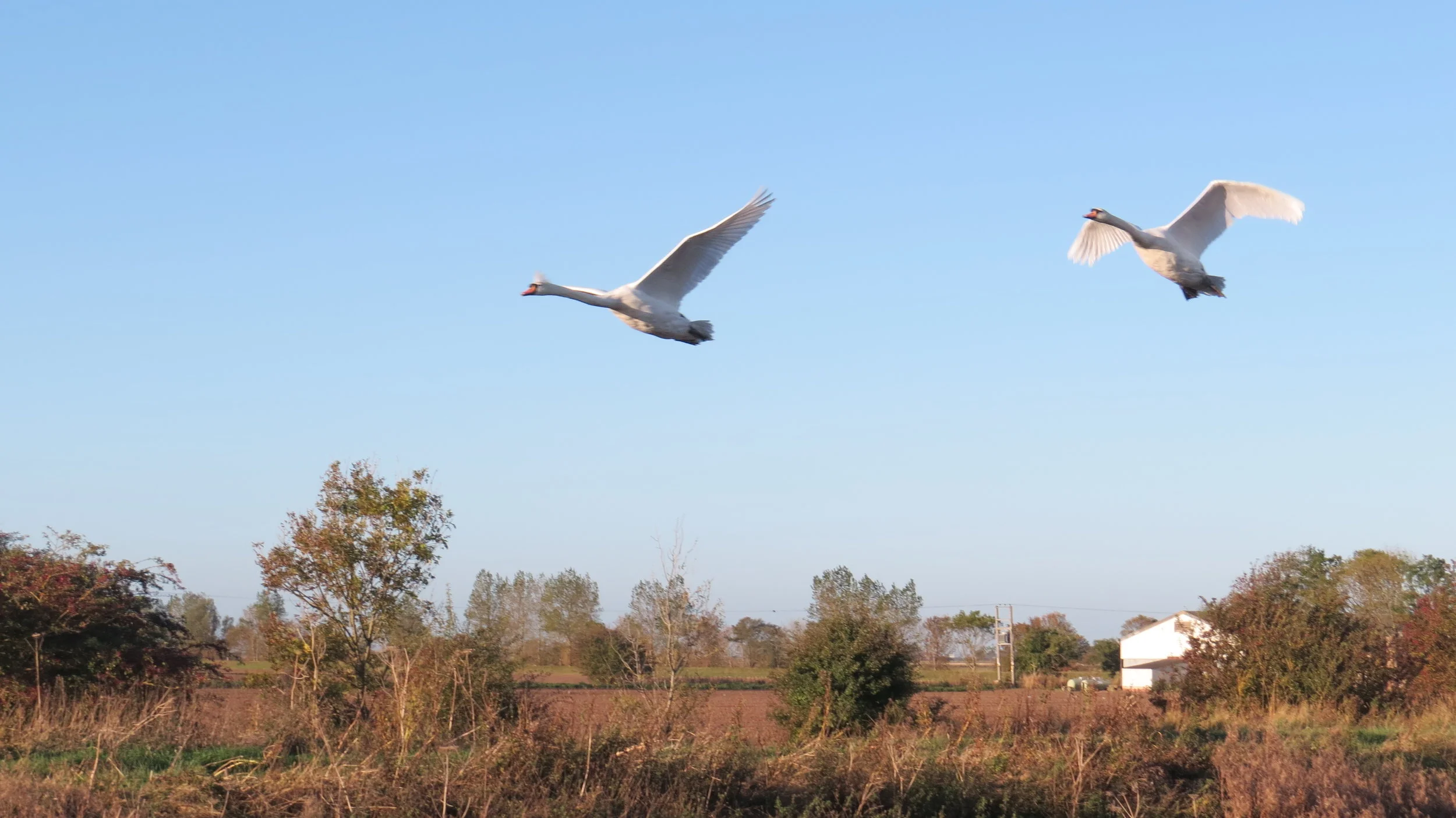 Day 294: Kilnsea to Kingston upon Hull