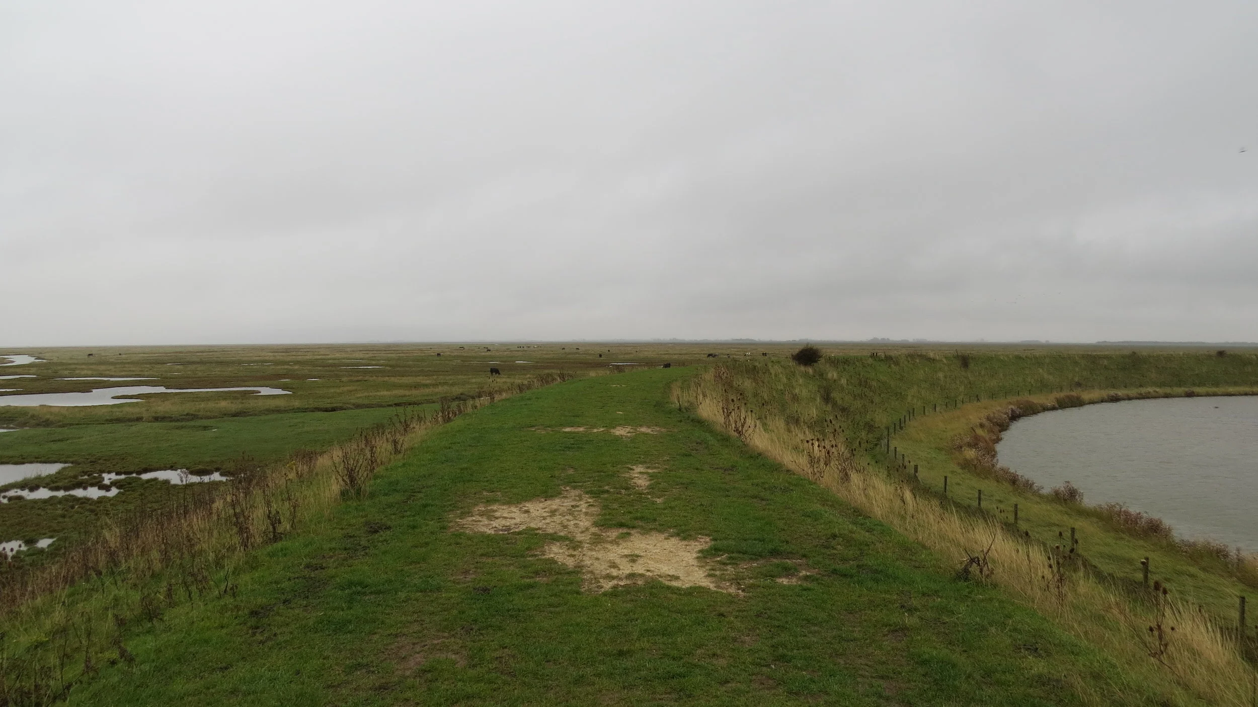 Day 302: Boston to Gedney Drove End