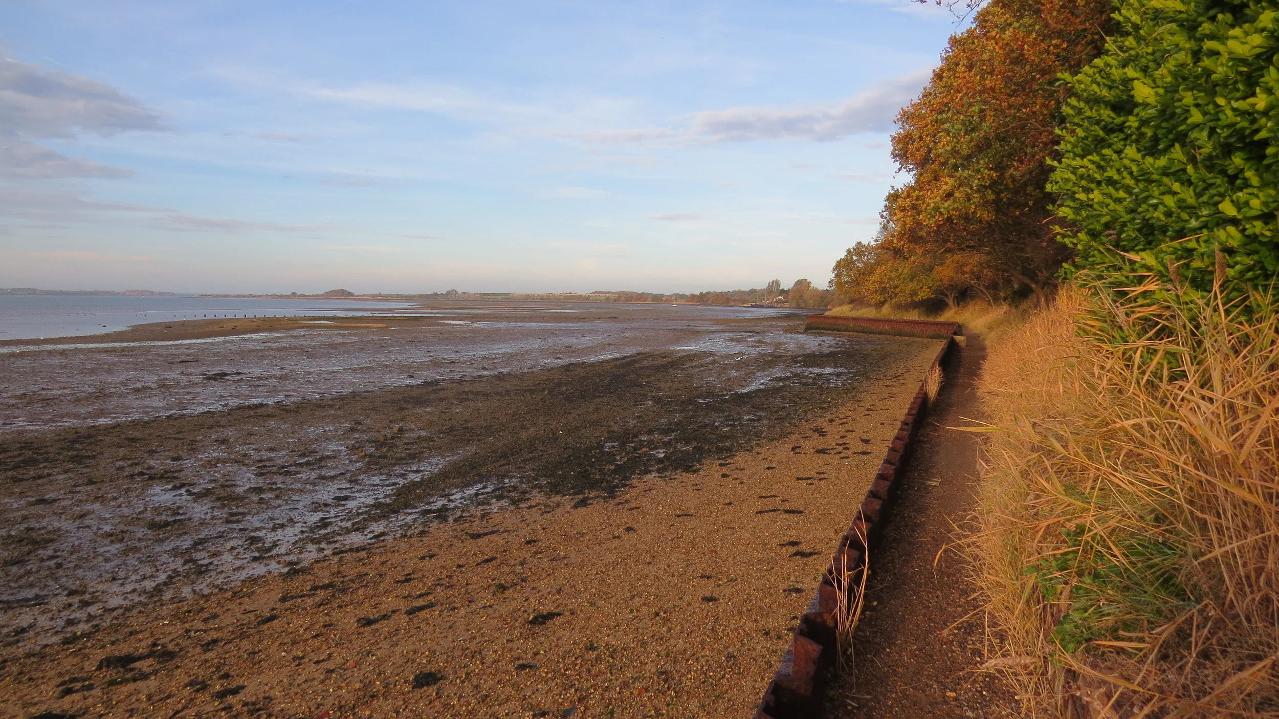 Day 317: Shotley Gate to Bradfield