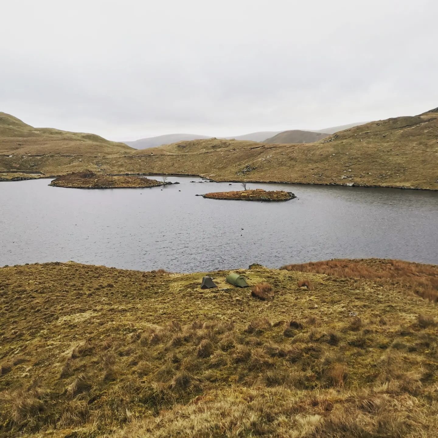 Another great pitch spot last night (tents in centre of first image. Lots of walking, not to much rain, a bit cold (let Bobby in the sleeping bag) and good company from @take.root_ @edddddeb  has left Bobby and I popped out and ready for a shower.