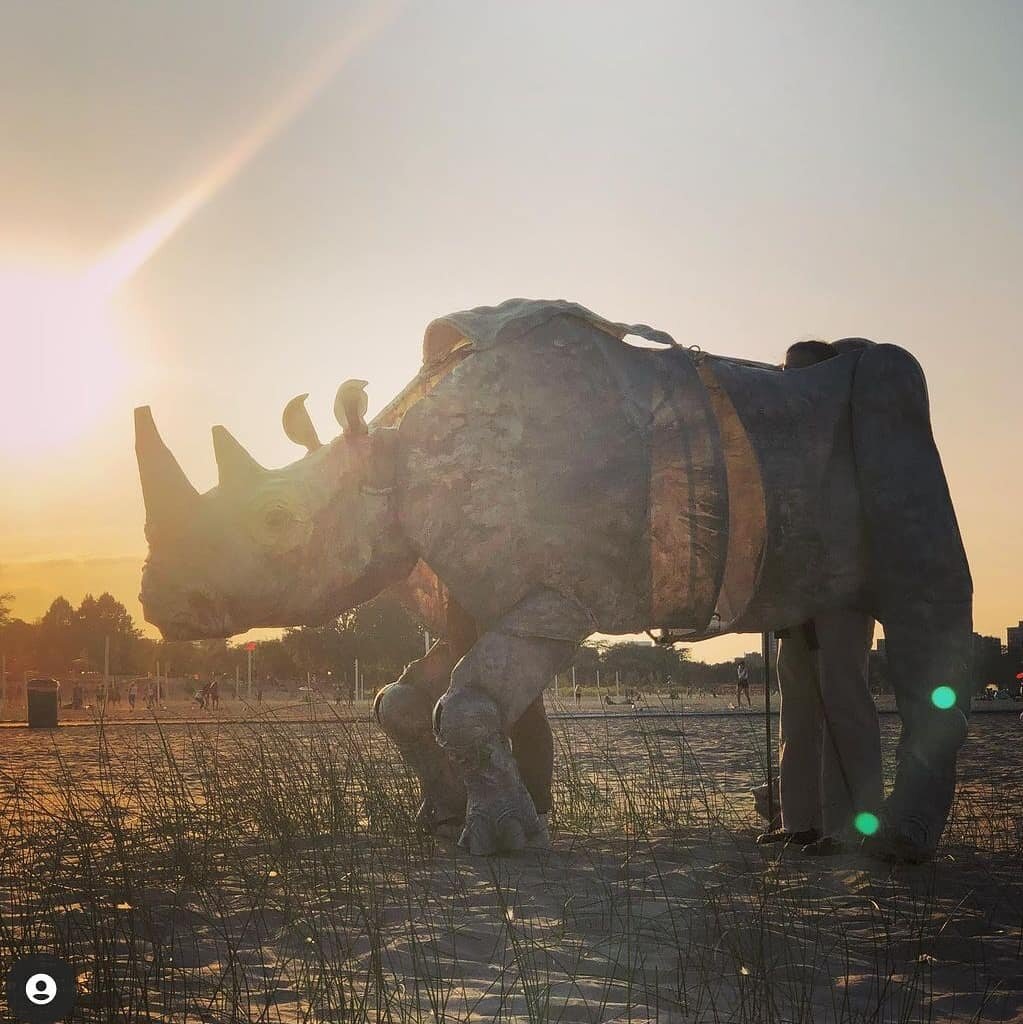 Well last night we set our rhino loose for her first test run and it was a little bit magic ✨ 
I can't wait to share more of this important project. Head over to @jookiekids for updates!

Save the rhinos 🦏

#puppet #puppetry #rhino #savetheplanet