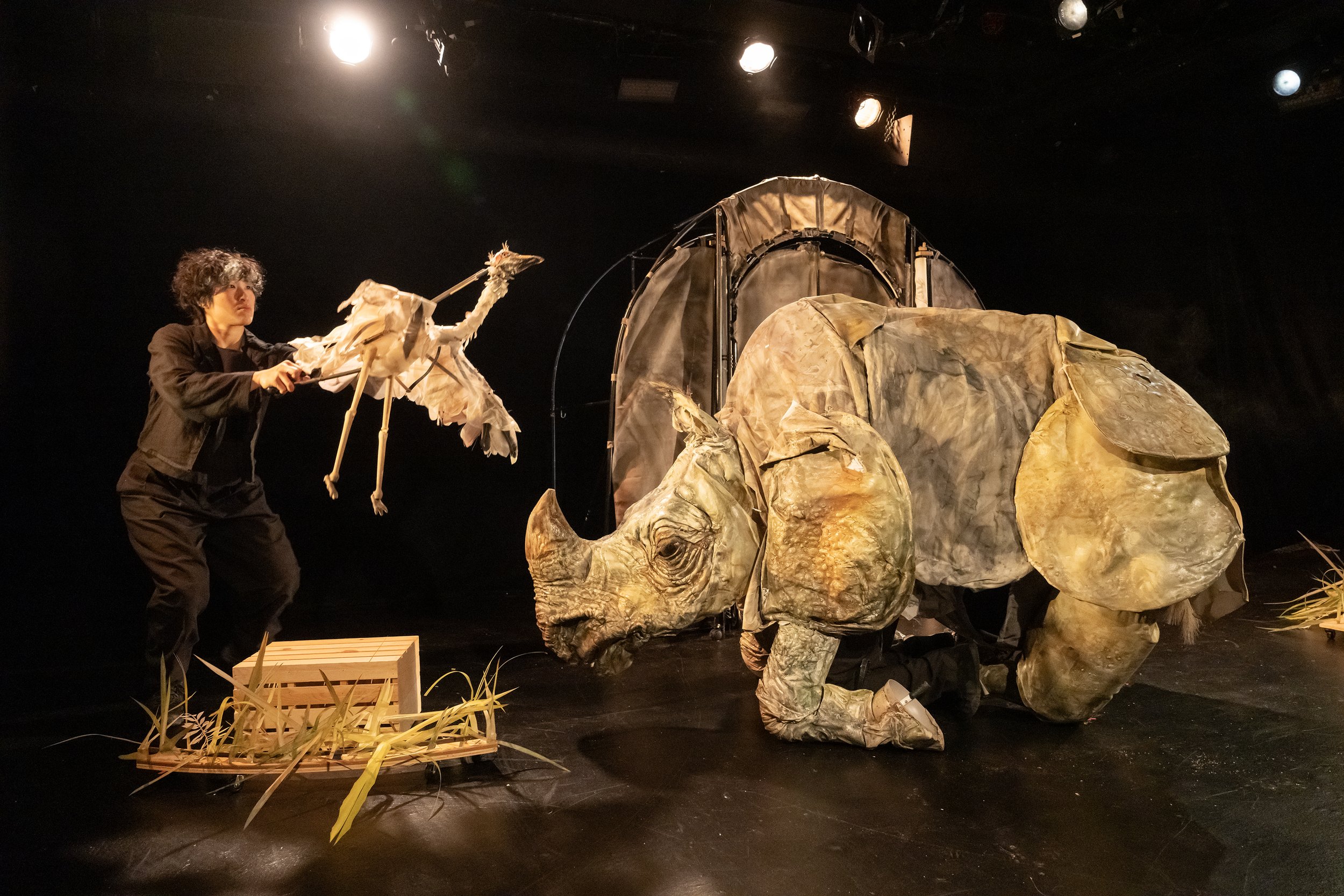 2025-05-21 Press Pix-Part 1-Rhynoceron-PUPPETOPIA-Here Arts_2025-05-21 #B-Rhynoceron-PUPPETOPIA-Here Arts-RT 011 copy.jpg