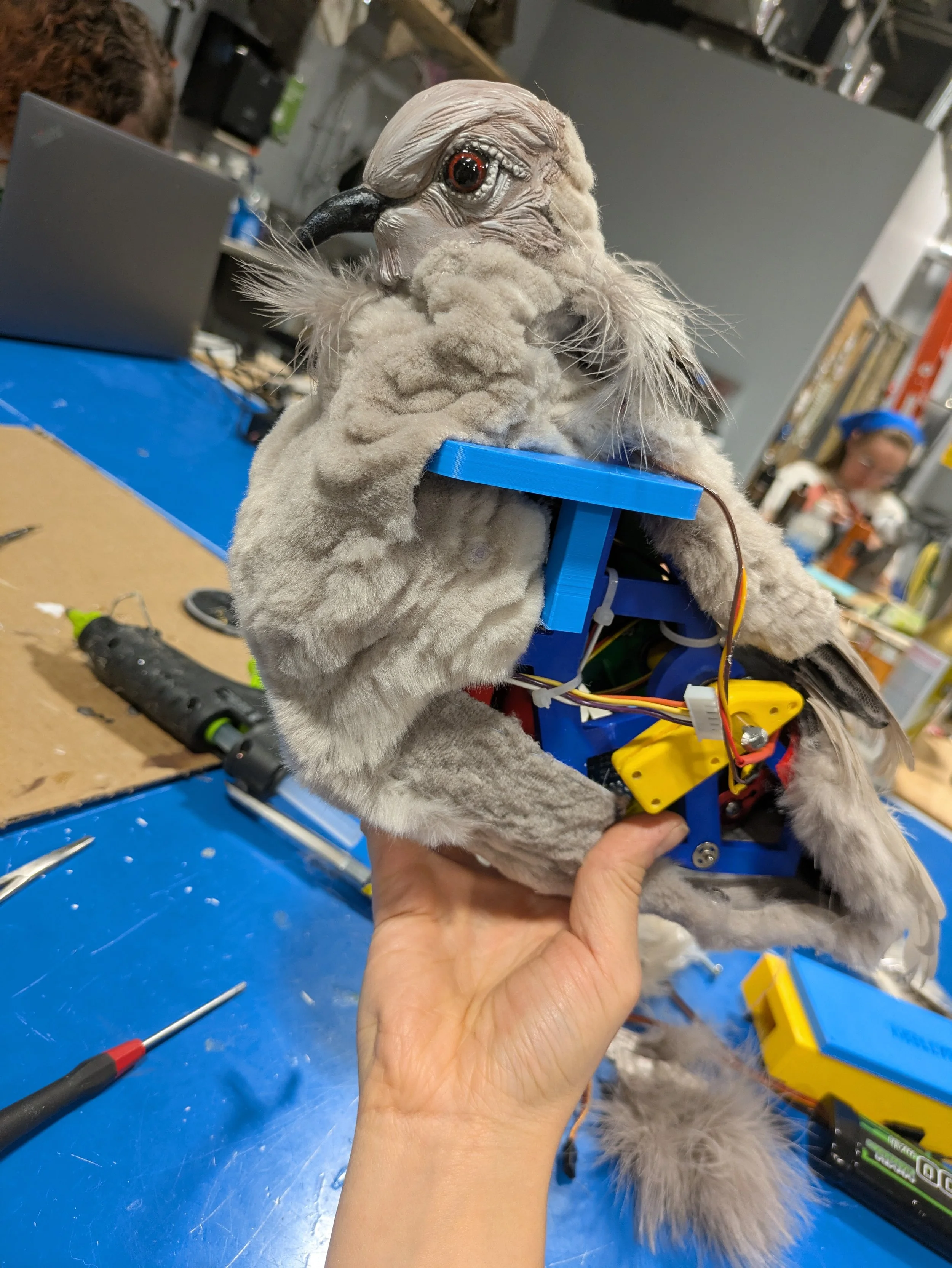  Dove animatronic for “La Colombe”  Figure finishing, head, feet sculpting   UNCSA Animatronics shop 