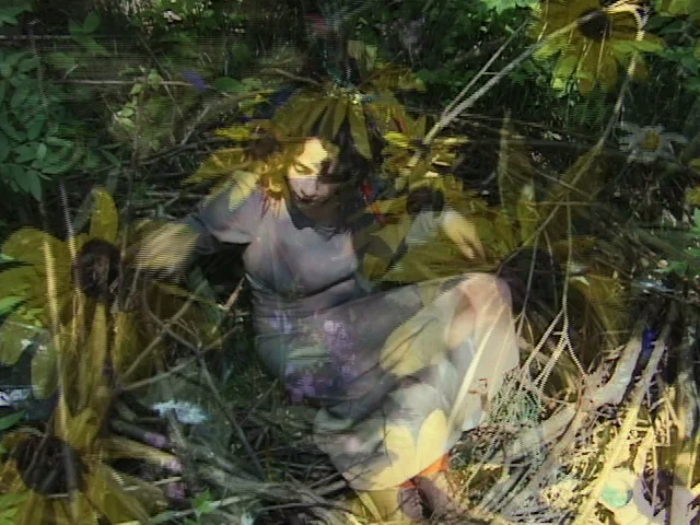 Why Not A Sparrow no bars audio low.jpeg