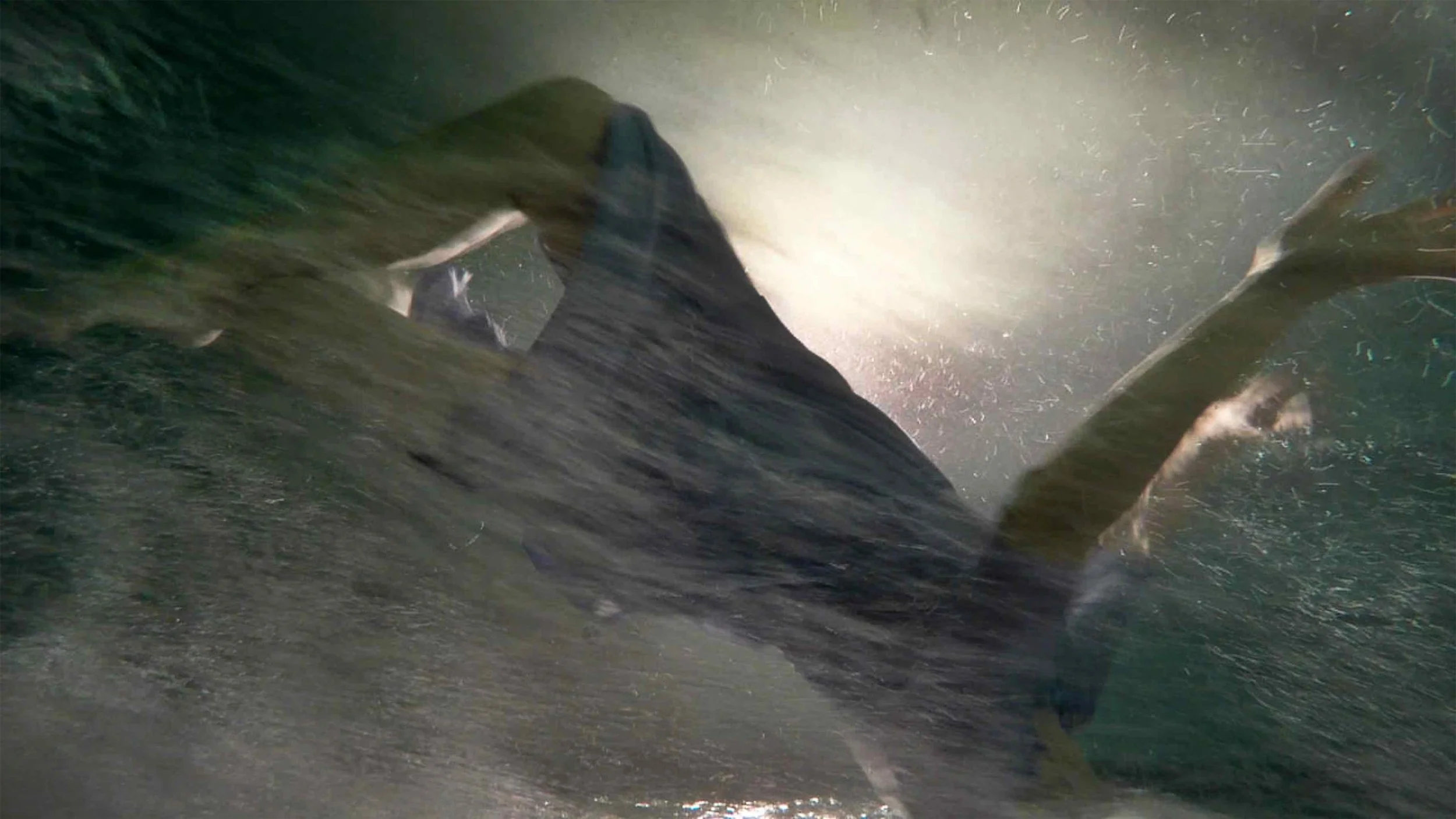 underwaterme copy.jpg