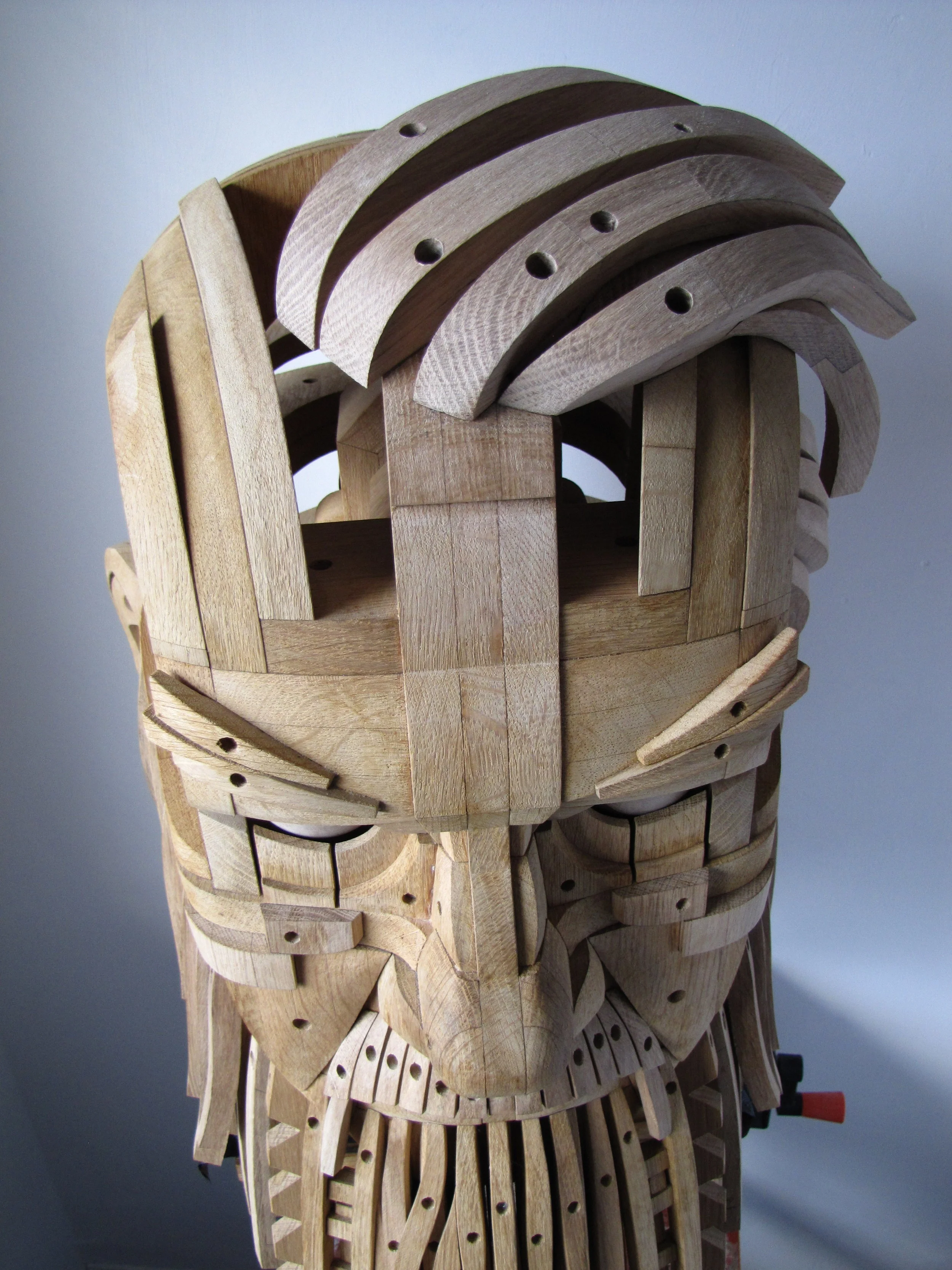 IMG RWCK top of head 2017.JPG