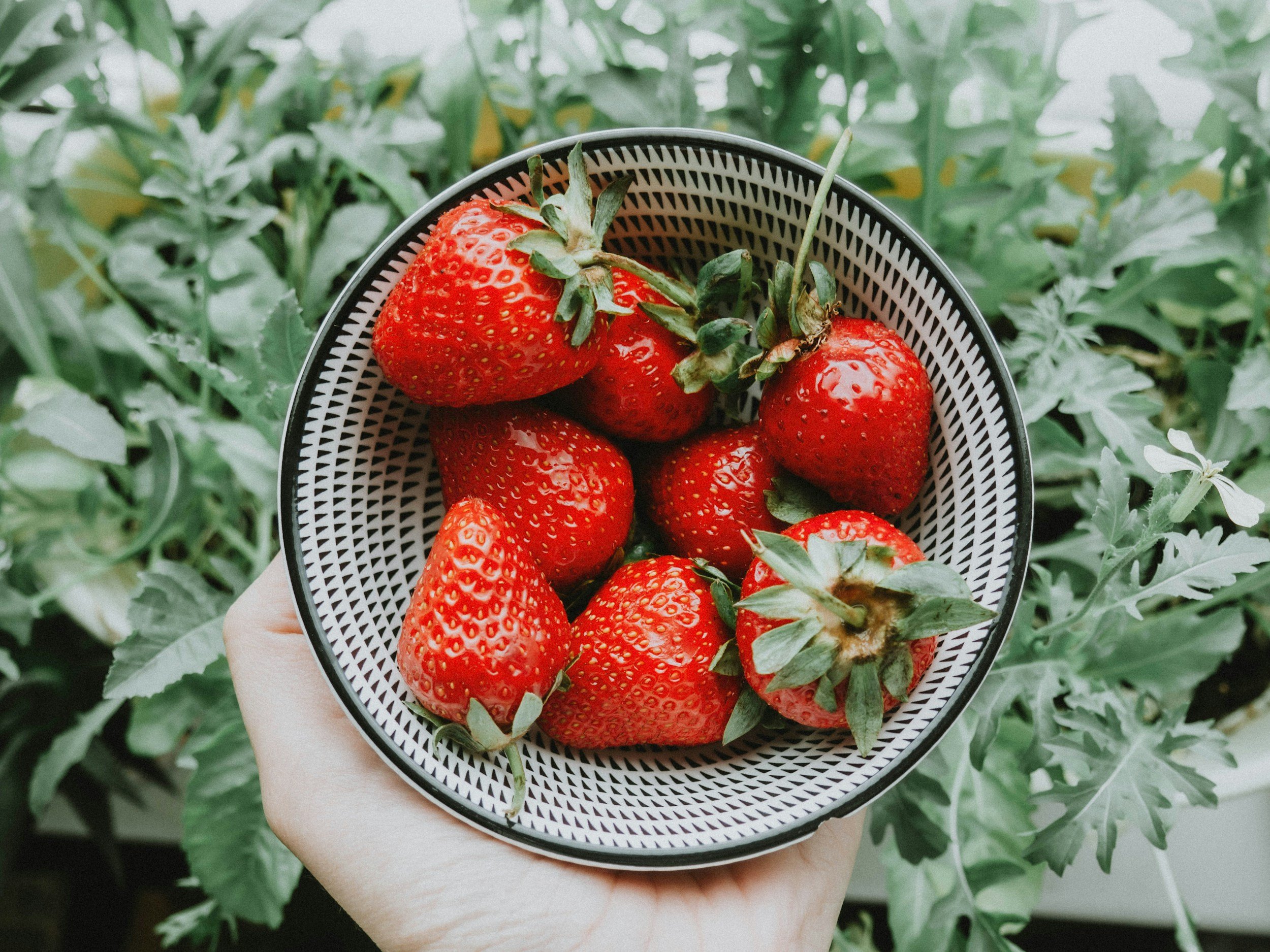 unsplash-image-V9g1kwNsxwc.jpg