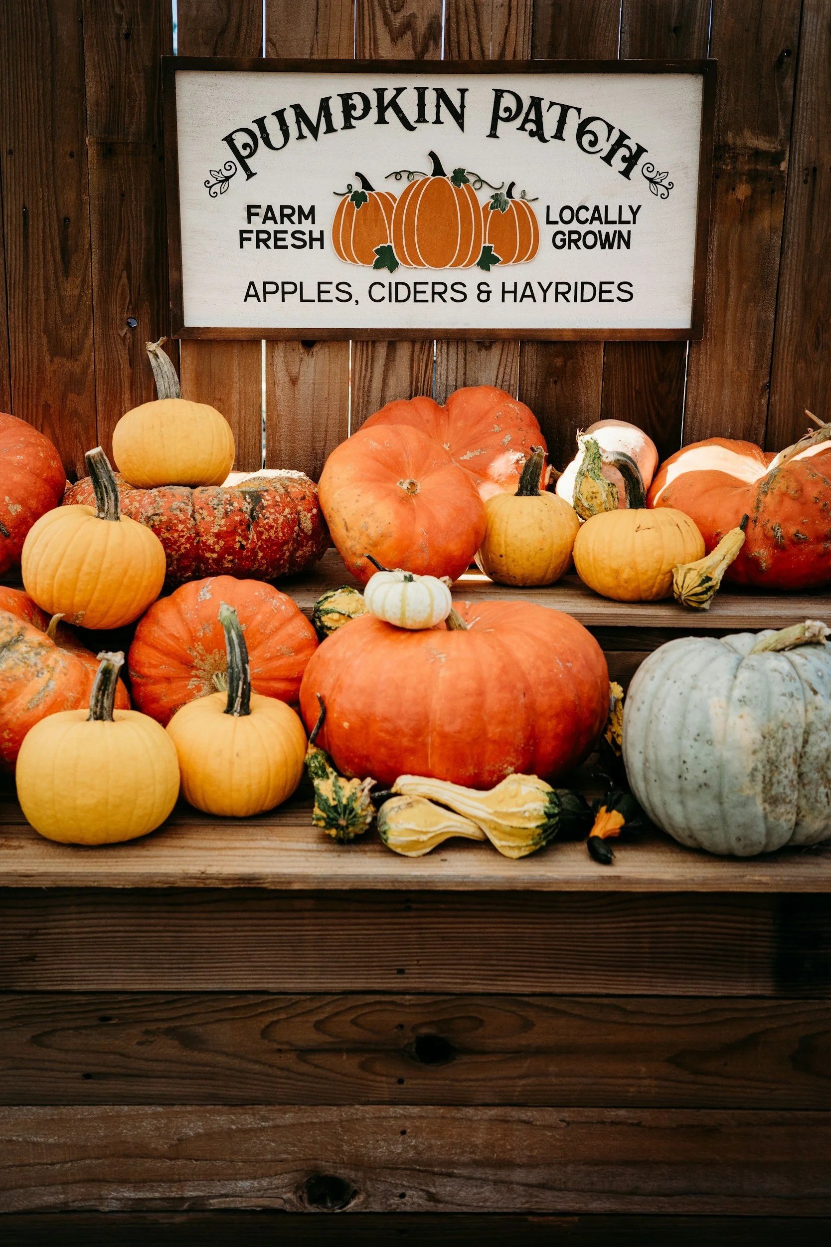 unsplash-image-jF-Ky3P6dA0.jpg