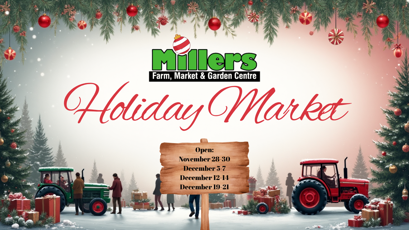 Holiday Market (1).png