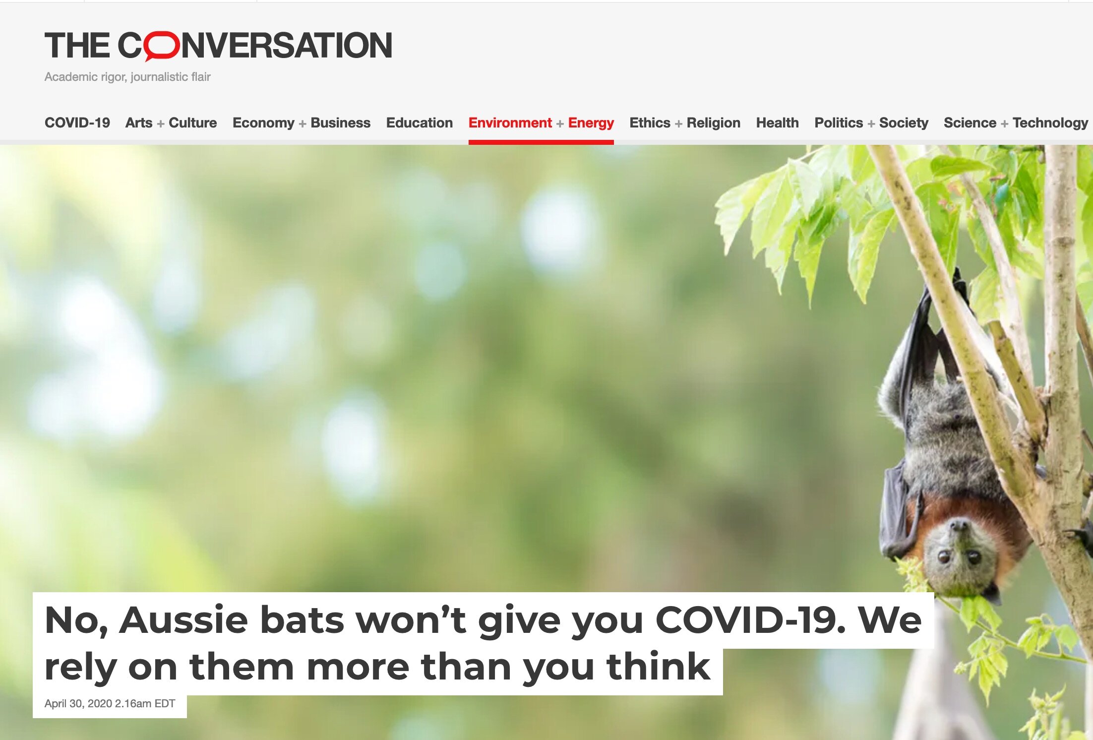 Addressing myths and fears about Australian flying foxes and Covid-19