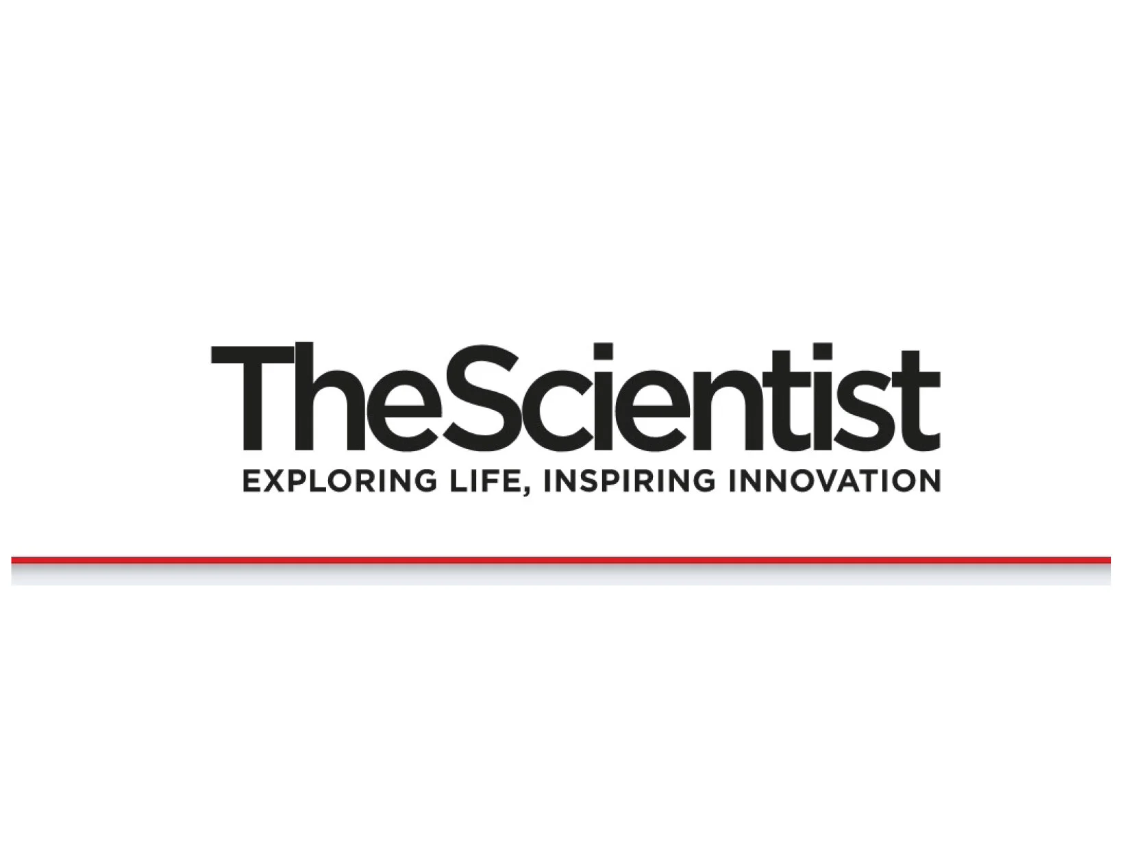 Bat OneHealth on the characteristics of viruses in pandemics