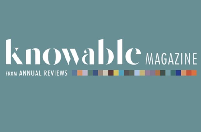 Dr. Plowright joined UC Davis Professor Jonna Mazet in a webinar