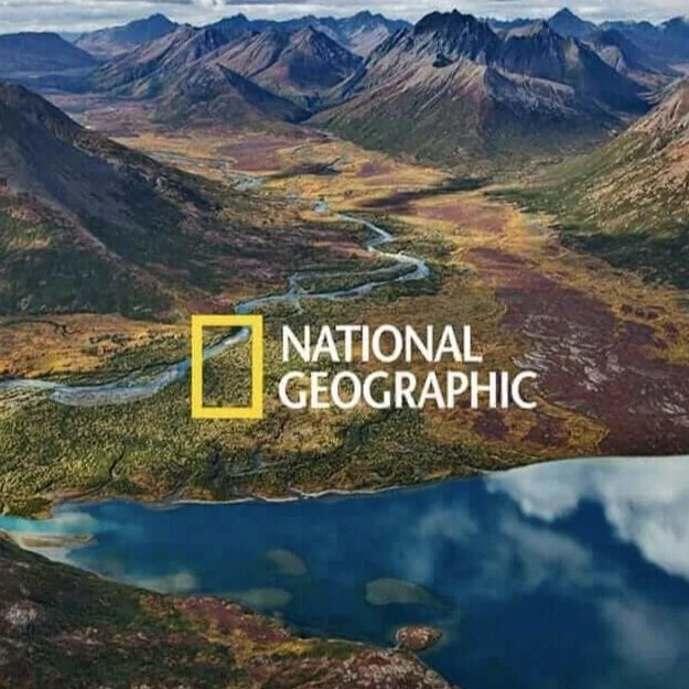 BatOneHealth PI's quoted in National Geographic article