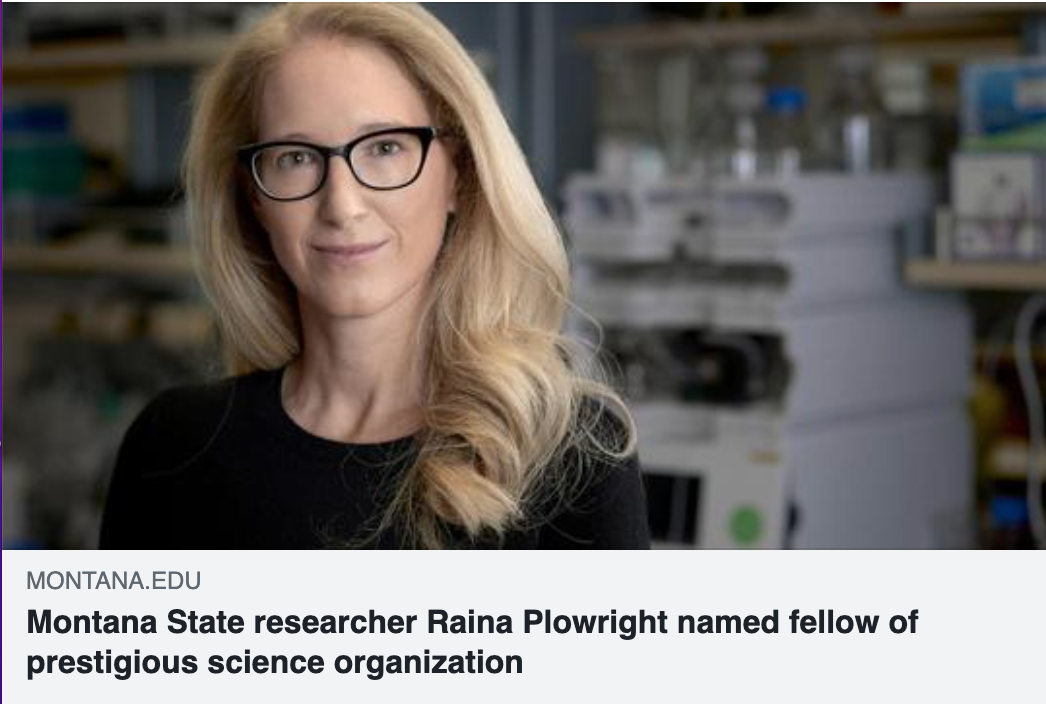 Raina Plowright named fellow of AAAS: American Association for the Advancement of Science