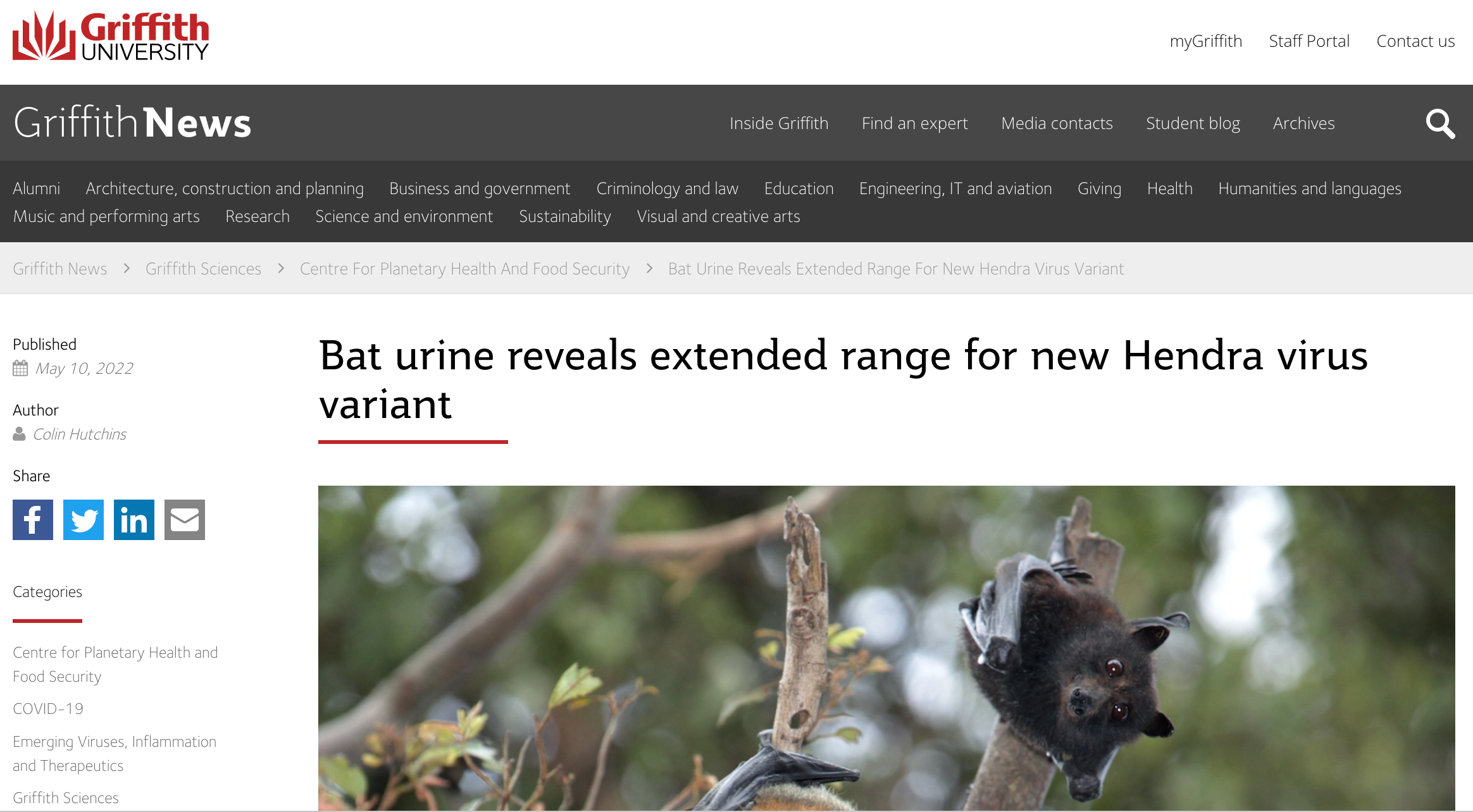 Bat urine reveals extended range for new Hendra virus variant