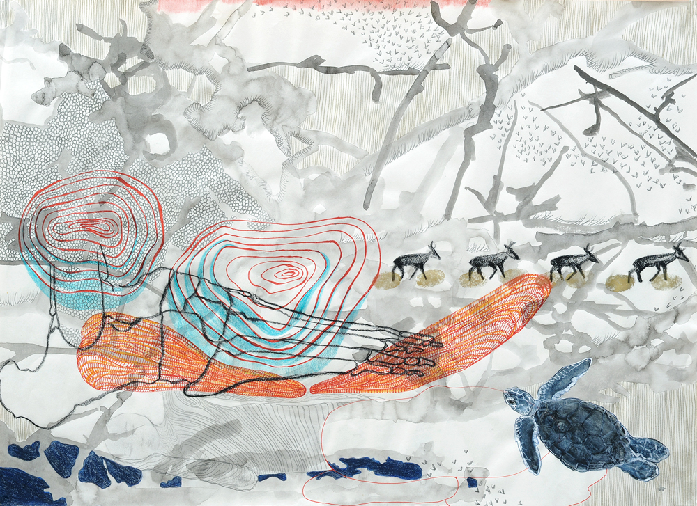 L’EMPREINTE ET LA TORTUE DE MER | FOOTPRINT AND THE SEA TURTLE