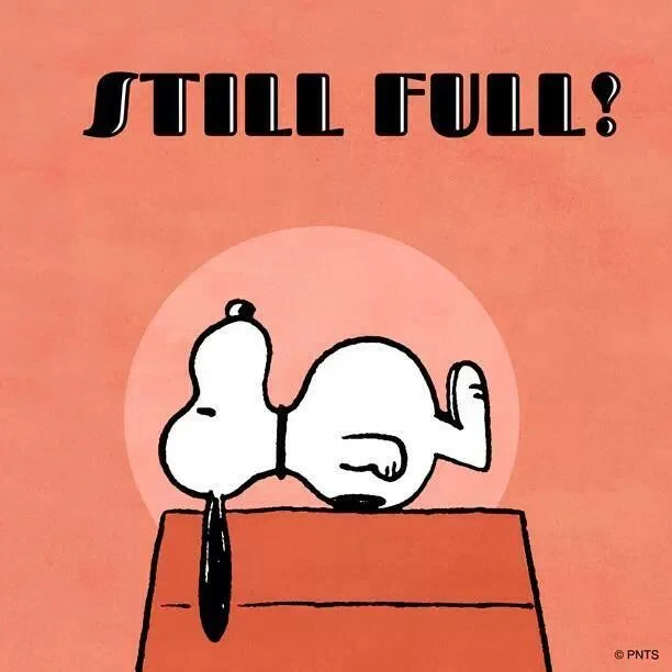 snoopy overeating christmas animakeup