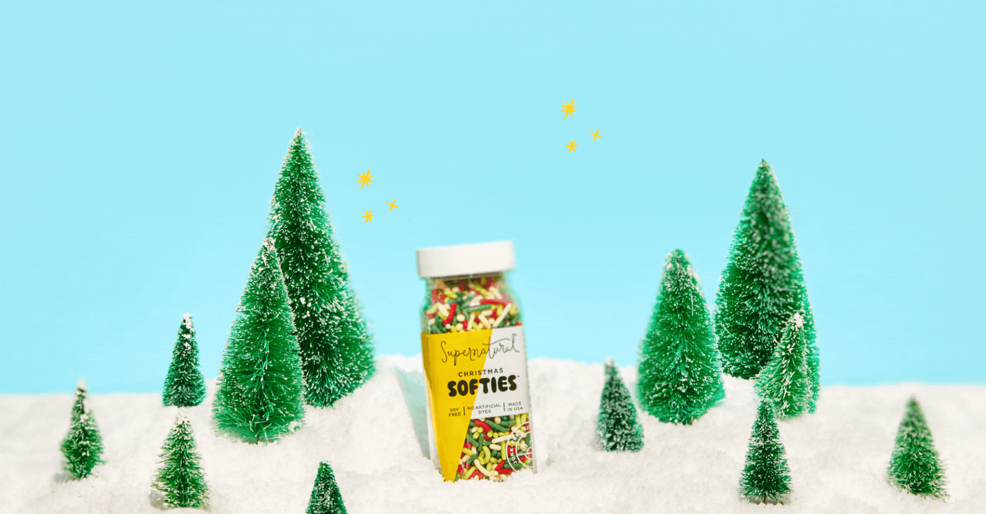 Holiday Home Page XL.gif
