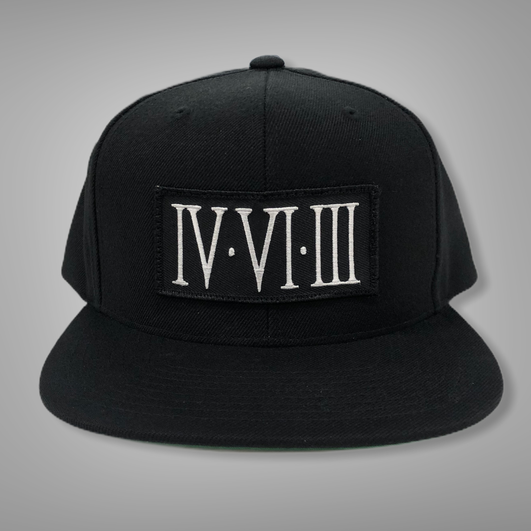 IVVIIII_FlatBillHat3.PNG