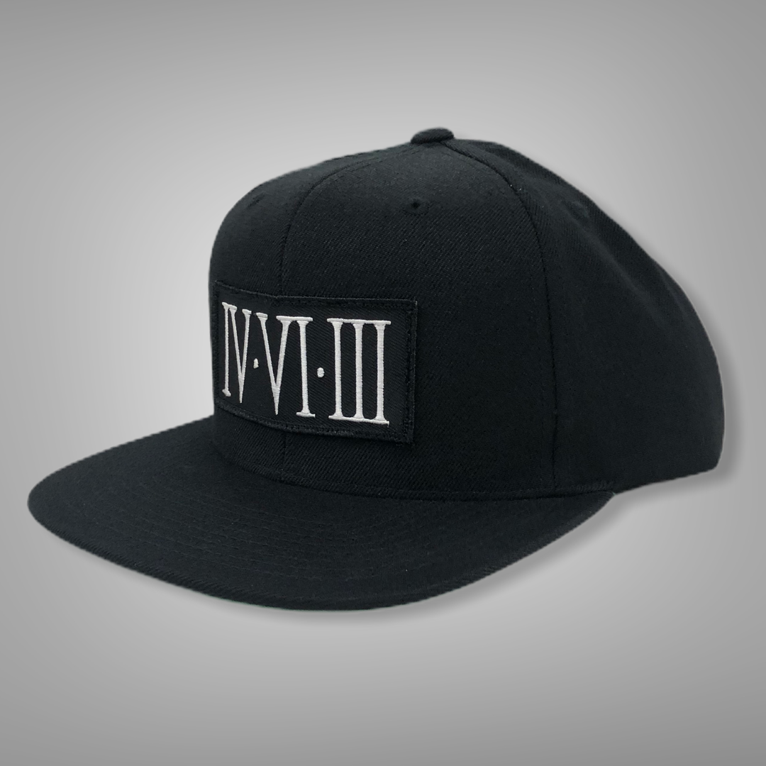 IVVIIII_FlatBillHat2.PNG