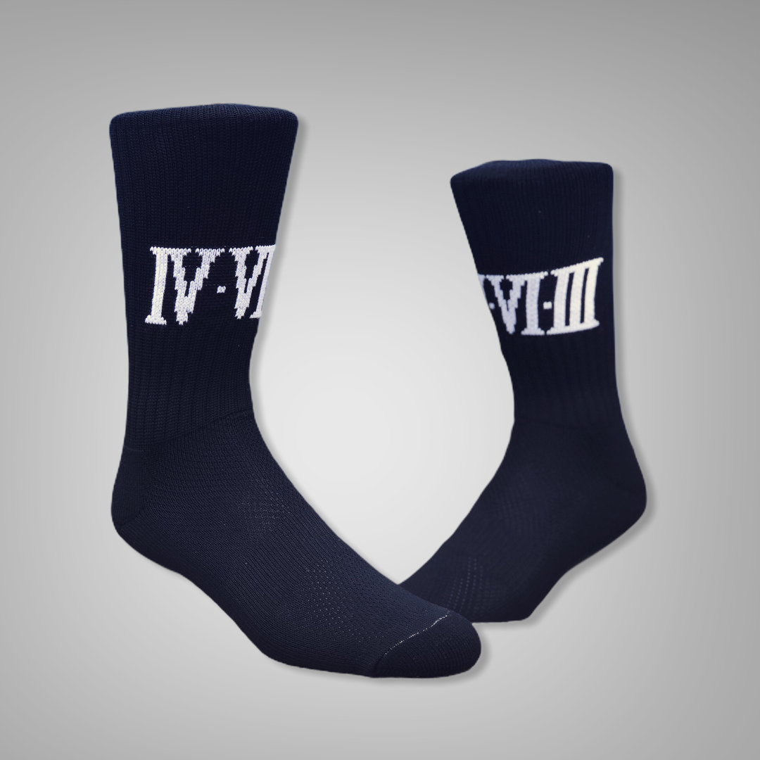 IVVIIII_Socks.PNG