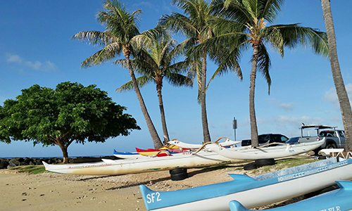 The Anatomy of Vibrant Living