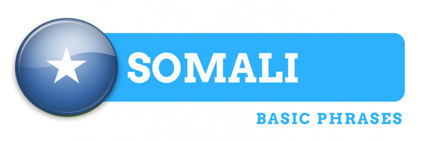 Basic Phrases banner.png
