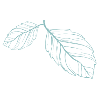 SKB FB profile photo-01.png