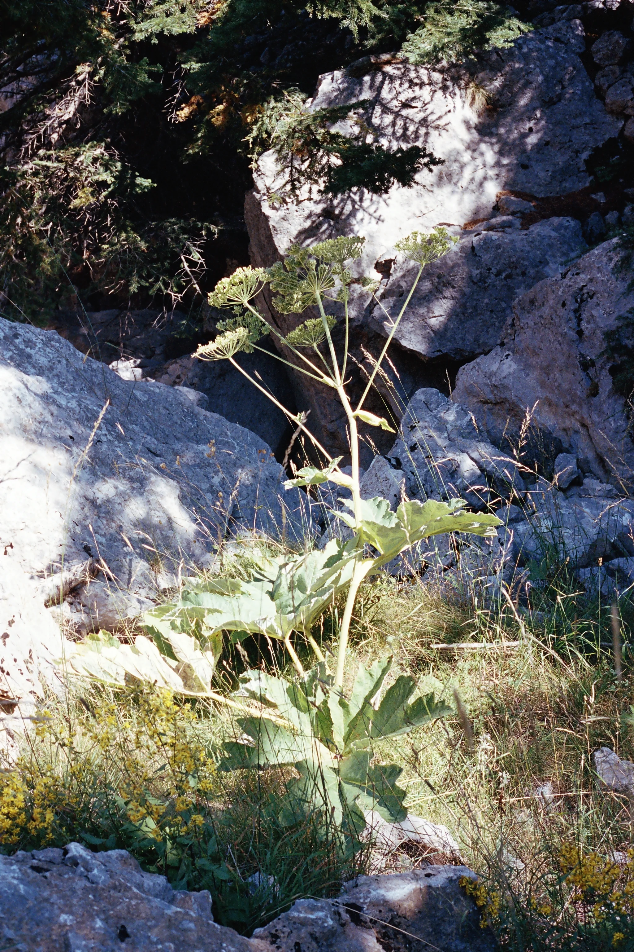 r001-008.jpg