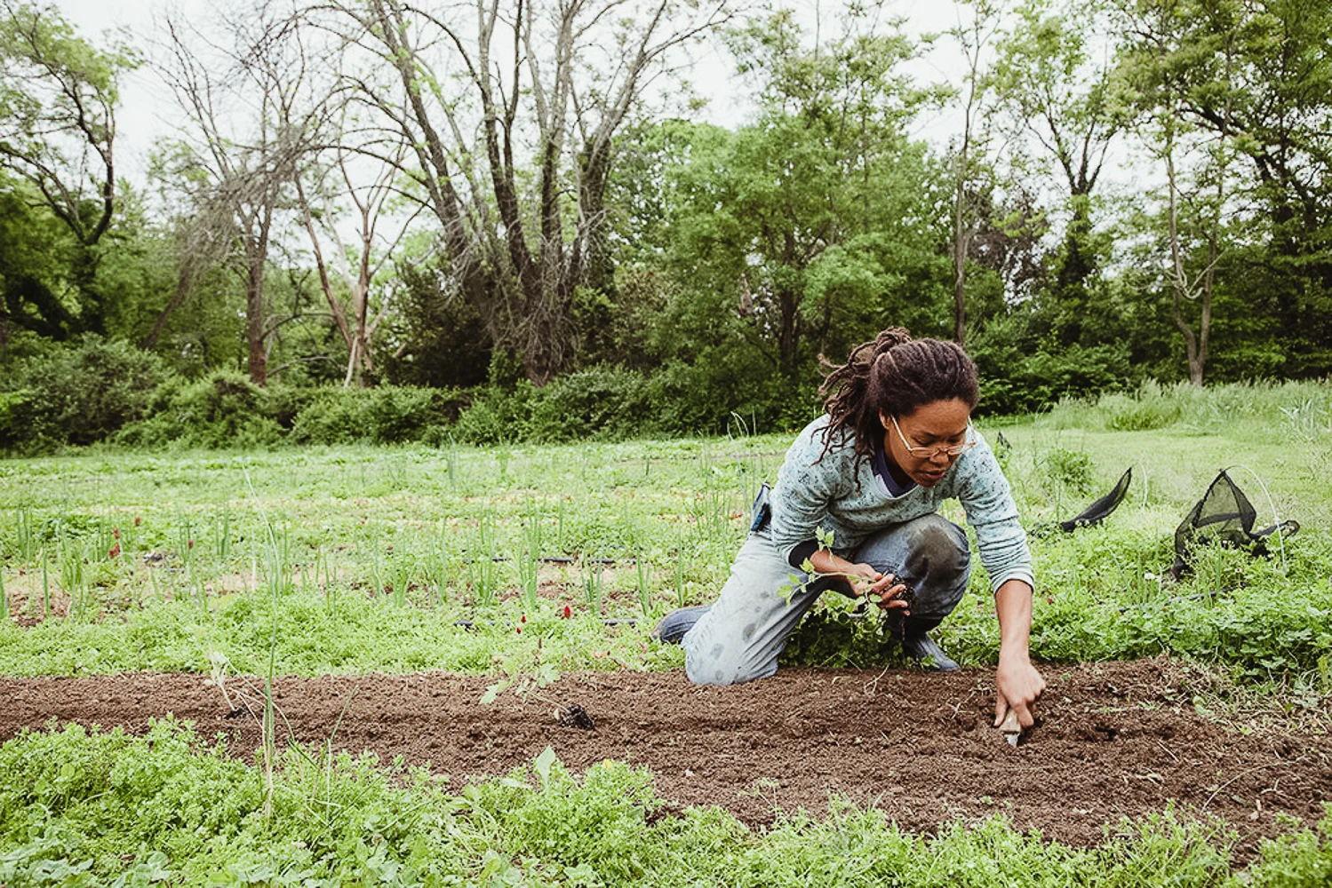 6. pineapple radio: farming in harmony