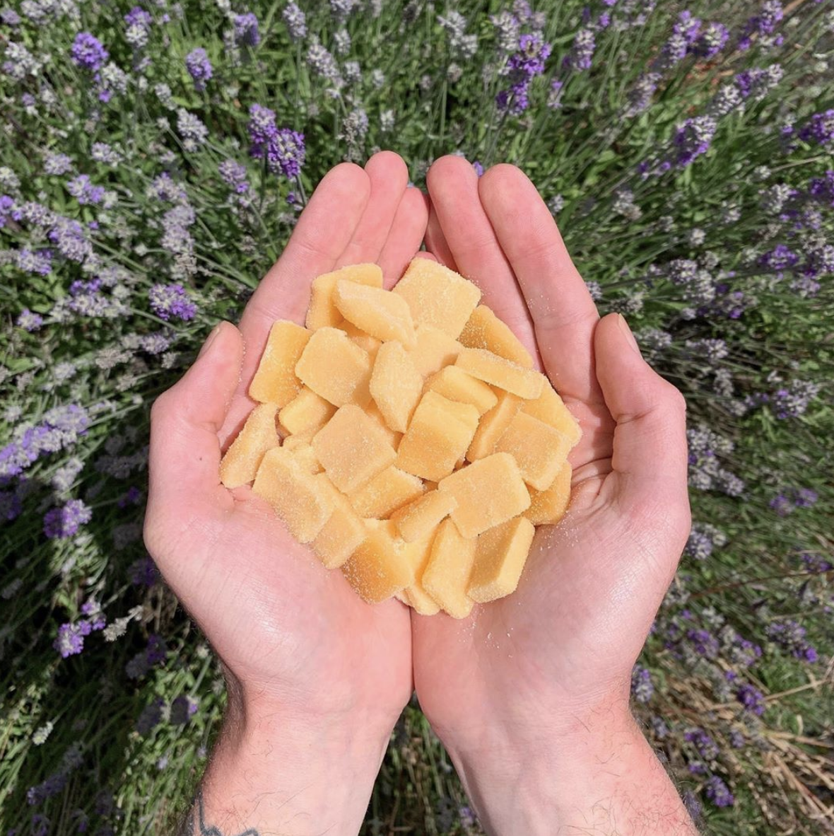 4. Wyld CBD gummies